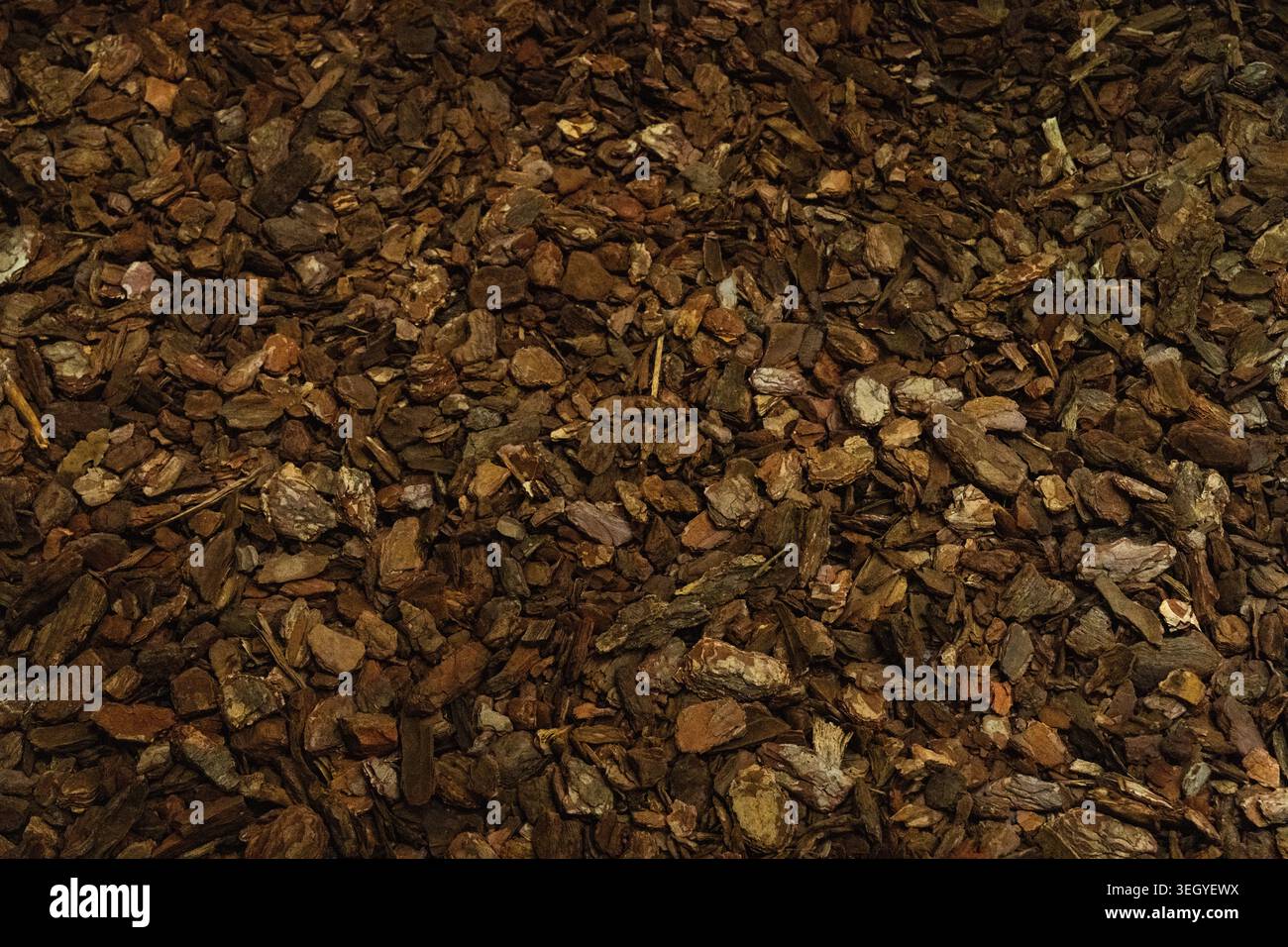 Rindenmulch auf dem Boden mit rauen, strukturierten braunen Holzspänen, die als organisches Gartenmaterial für Landschaftsbau- und Gartenbauprojekte verwendet werden Stockfoto