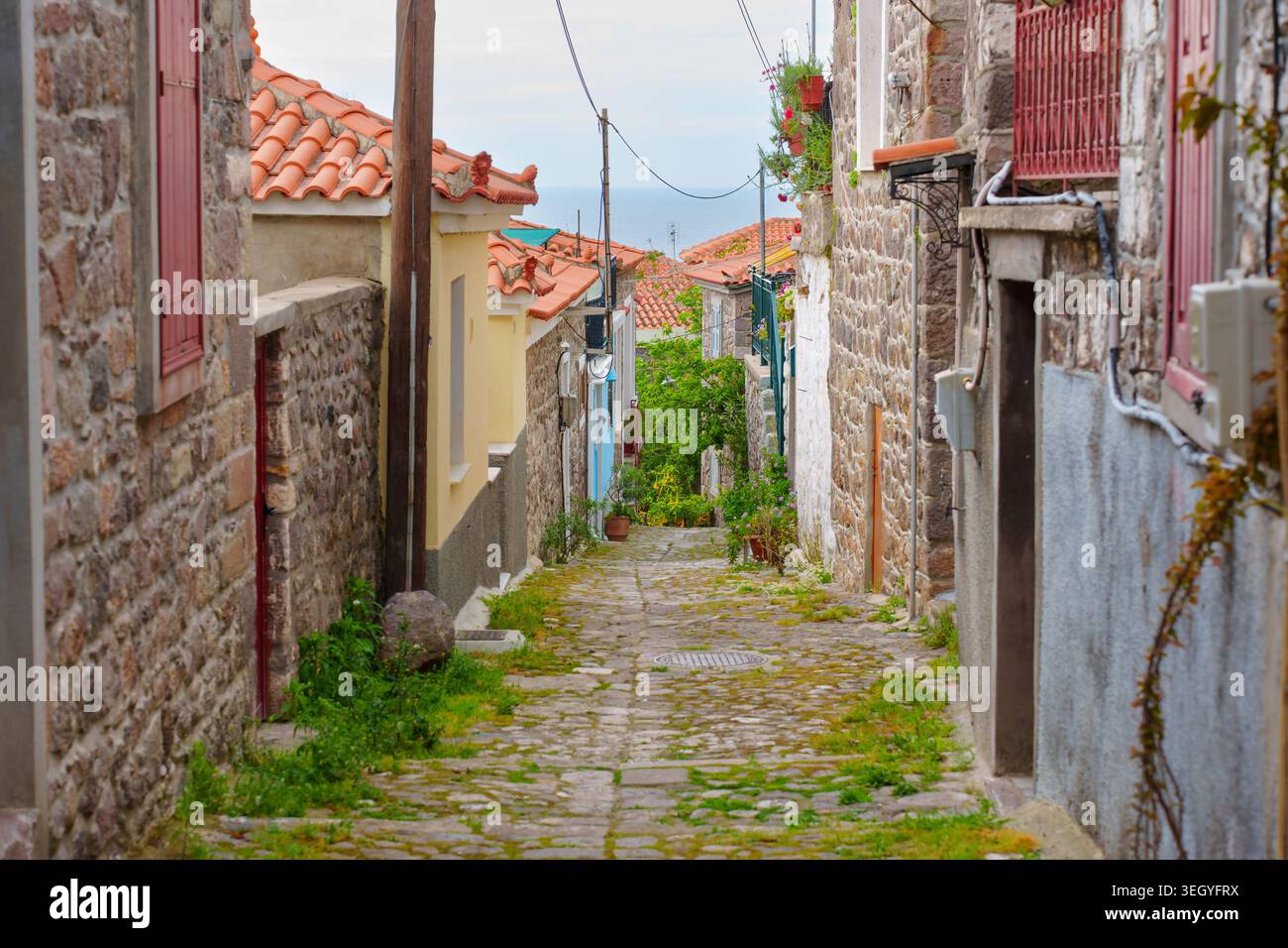 Enge Kopfsteinpflasterallee, die sich zwischen traditionellen Steinhäusern mit roten Ziegeldächern im historischen Dorf Molyvos, Lesbos, Griechenland, schlängelt, mit Meereswehen Stockfoto