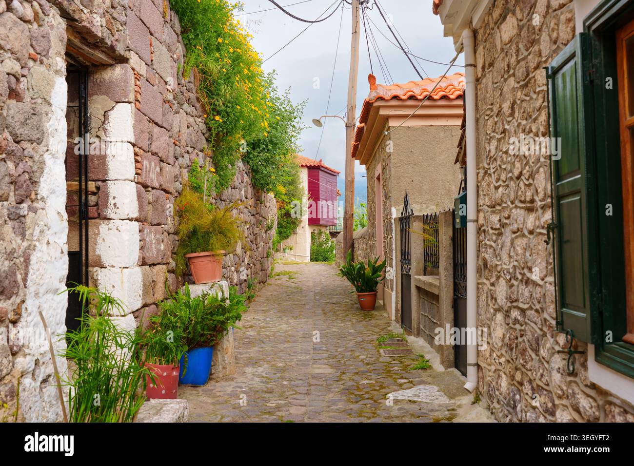 Enge Kopfsteinpflasterallee im historischen Dorf Molyvos, Lesbos, Griechenland, mit traditionellen Steinhäusern, Topfpflanzen und leuchtendem Gelb Stockfoto