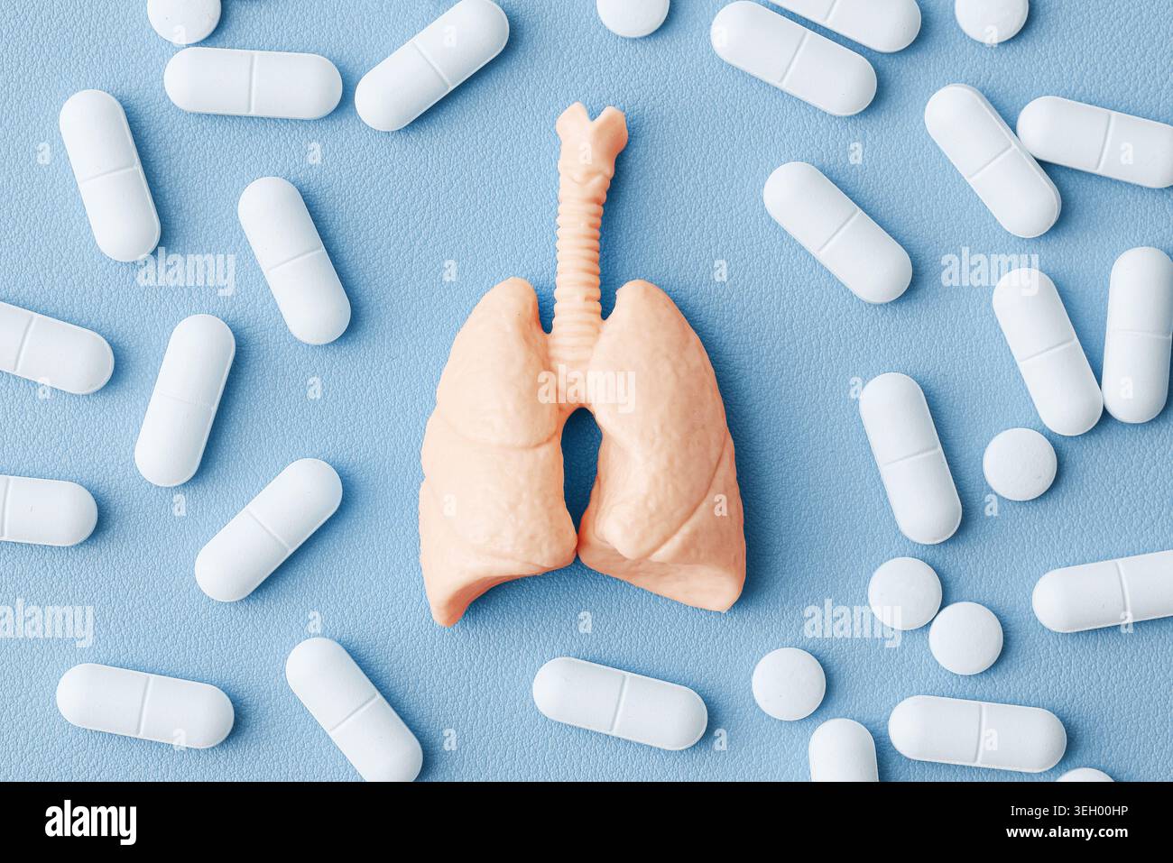 Menschliches Lungenmodell umgeben von weißen Pillen Nahaufnahme. Respiratorische Versorgung und pharmazeutisches Behandlungskonzept auf blauem Hintergrund. Stockfoto