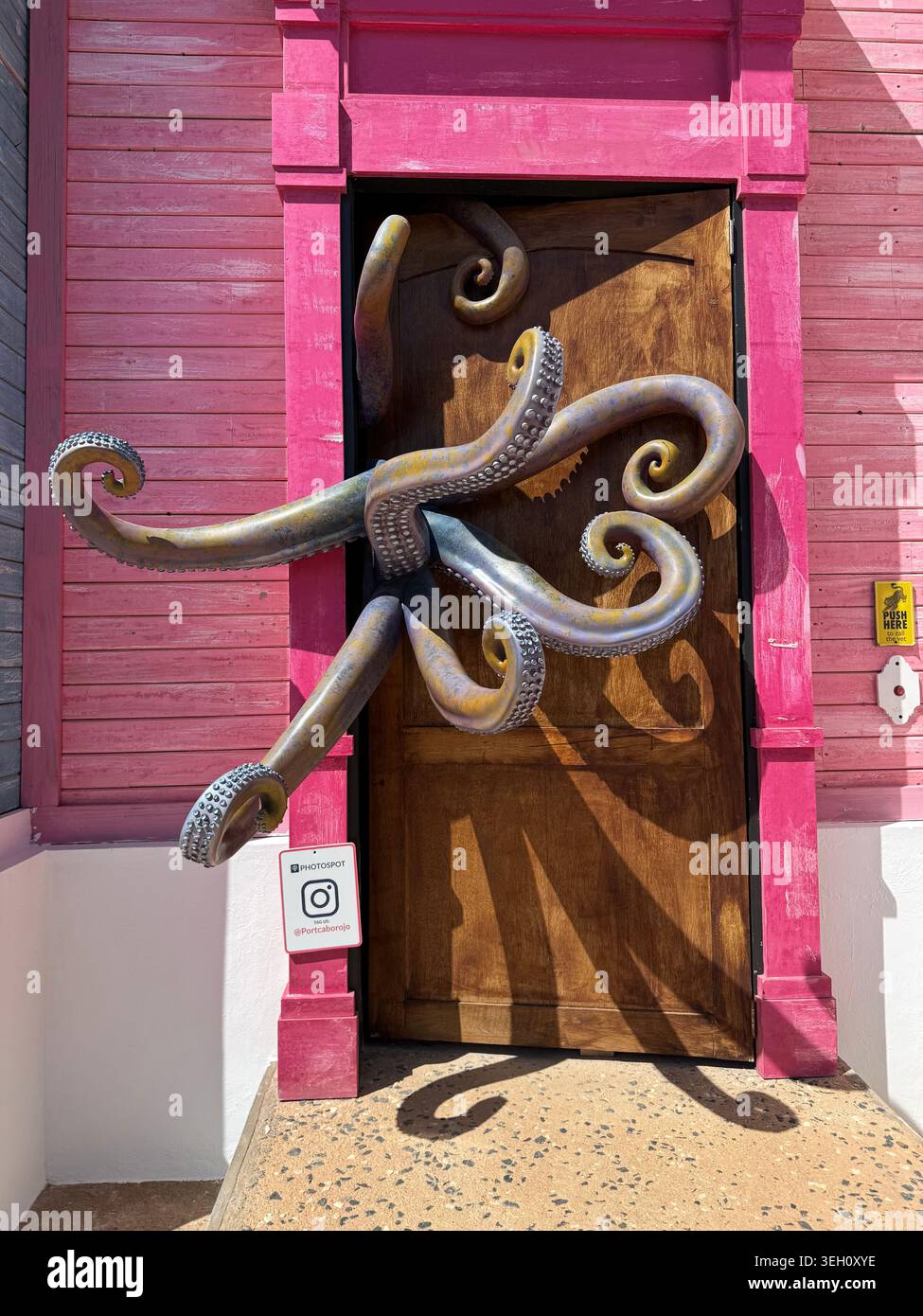 Eine dekorative rosafarbene Holztür oder -Wandtafel mit einer einzigartigen Metallskulptur eines Oktopus in Cabo Rojo. Stockfoto
