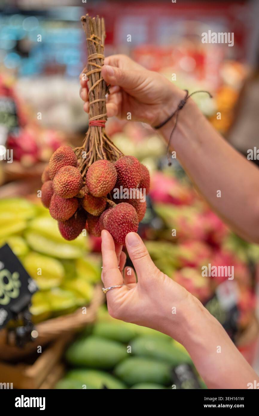Eine Frau, die reife Litschi-Früchte im Supermarkt in Thailand auswählt und einen Haufen Früchte auf Zweigen hält. Stockfoto