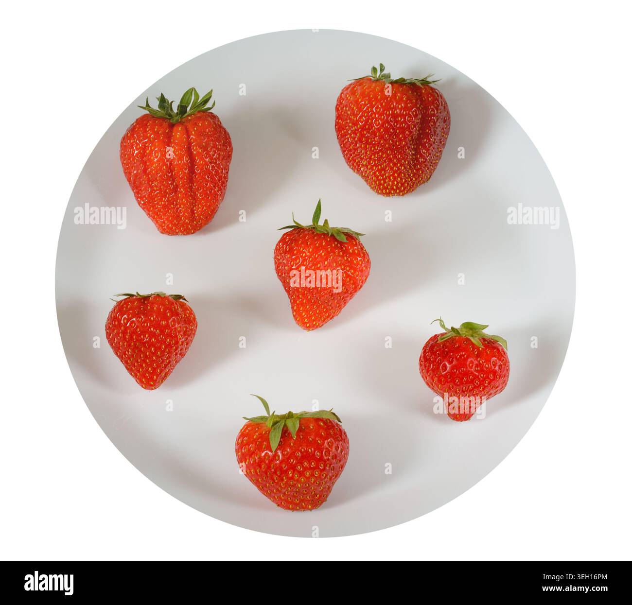 Erdbeeren auf einem weißen Teller auf hellem Hintergrund Stockfoto