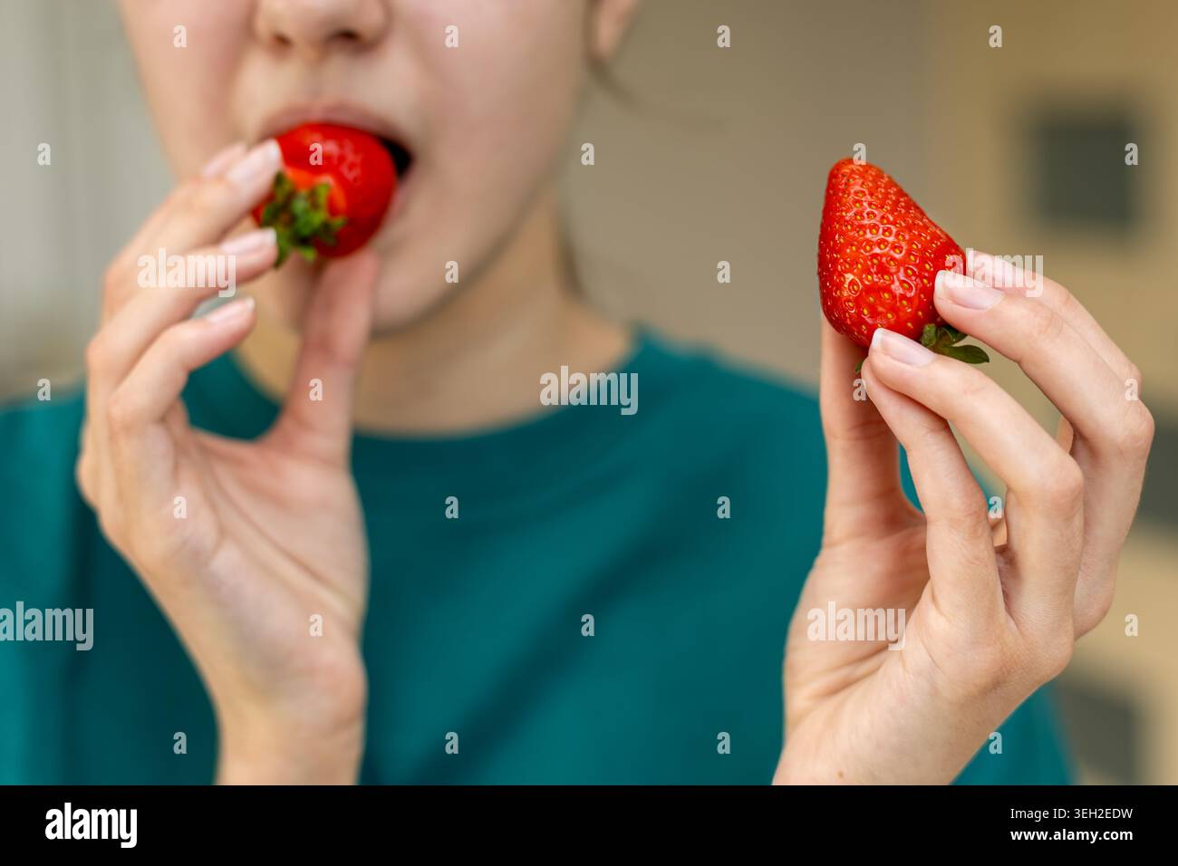 Frau isst frische Erdbeeren aus der Nähe. Nahaufnahme einer Frau, die zwei reife rote Erdbeeren hält und eine in den Mund bringt, während die andere bleibt Stockfoto