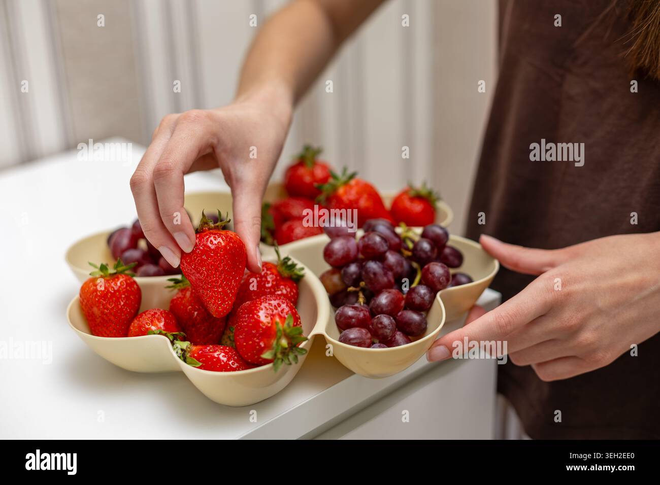 Erdbeere Von Hand Aus Dem Tablett Mit Frischem Obst Pflücken. Nahaufnahme der Hände, die eine reife Erdbeere aus einem geteilten Tablett mit frischen Erdbeeren und auswählen Stockfoto