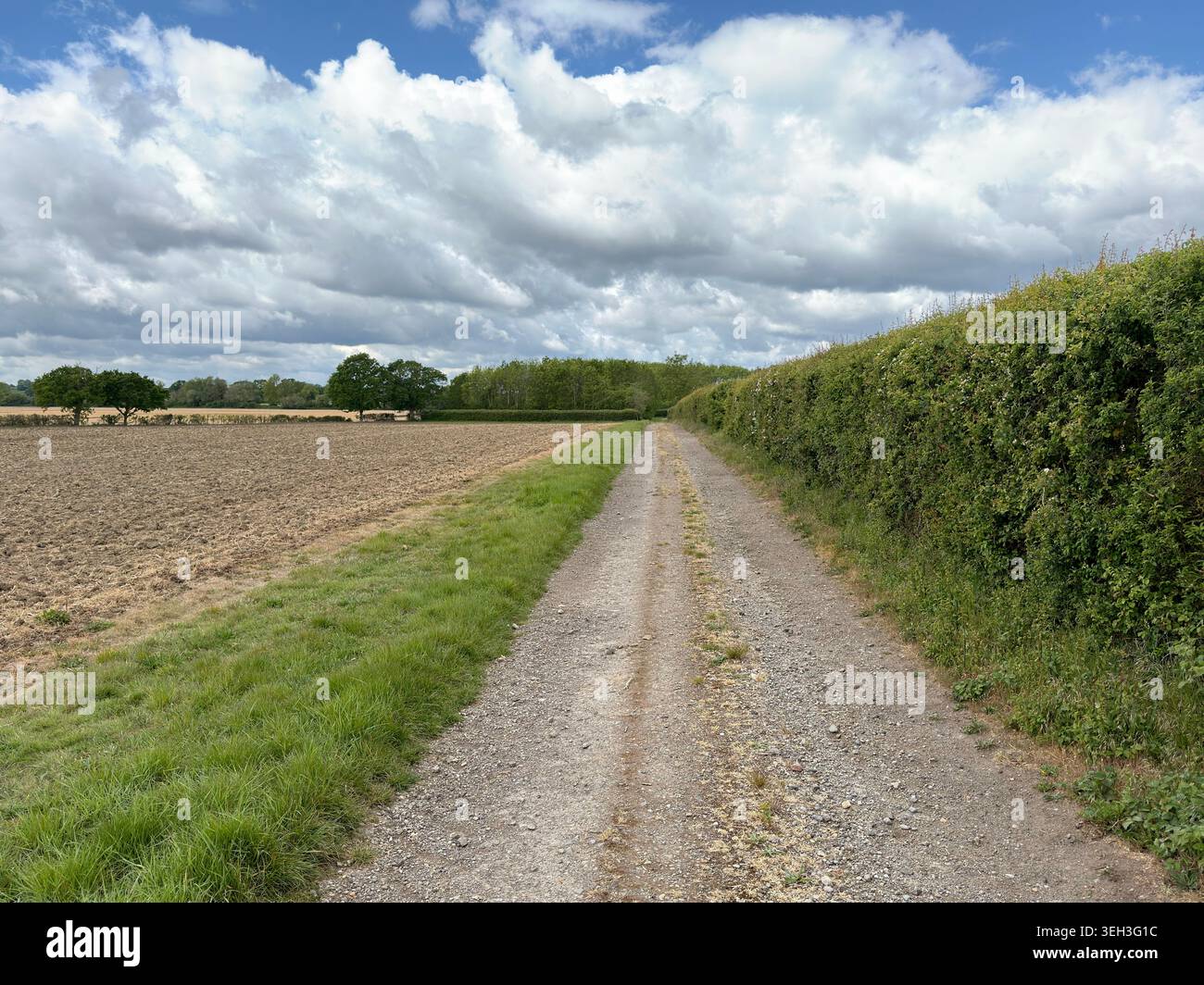 Bauernhof und öffentlicher Fußweg entlang einer einheimischen Hecke und einem landwirtschaftlichen Feld an einem hell bewölkten Frühlingstag, Großbritannien. - Smartphone-aufgenommenes Stockfoto