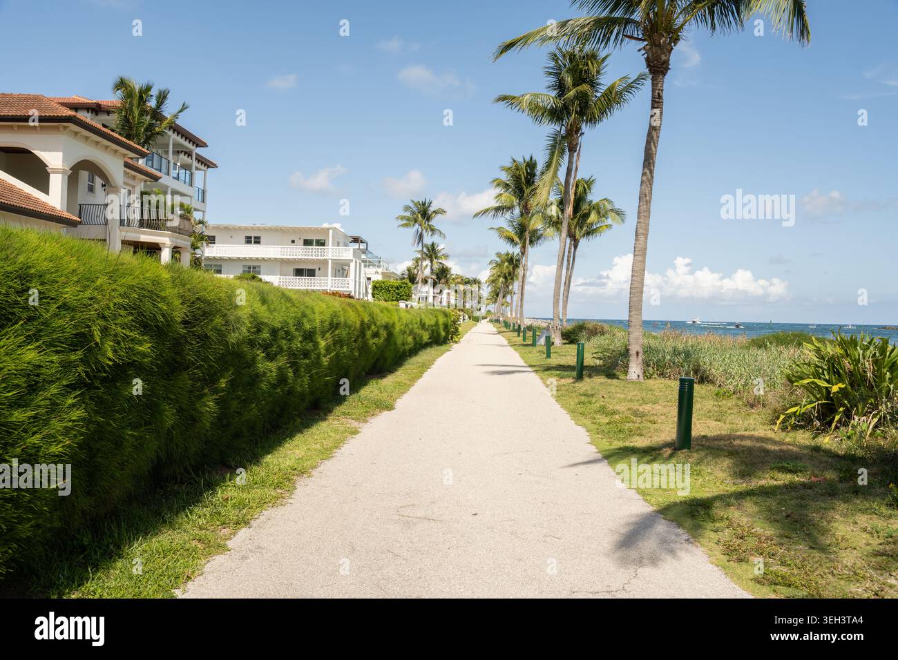 Ein gepflasterter Wanderweg am Wasser schlängelt sich durch eine üppige Küstenlandschaft, gesäumt von alten Palmen in Palm Beach Shores, Florida. Stockfoto