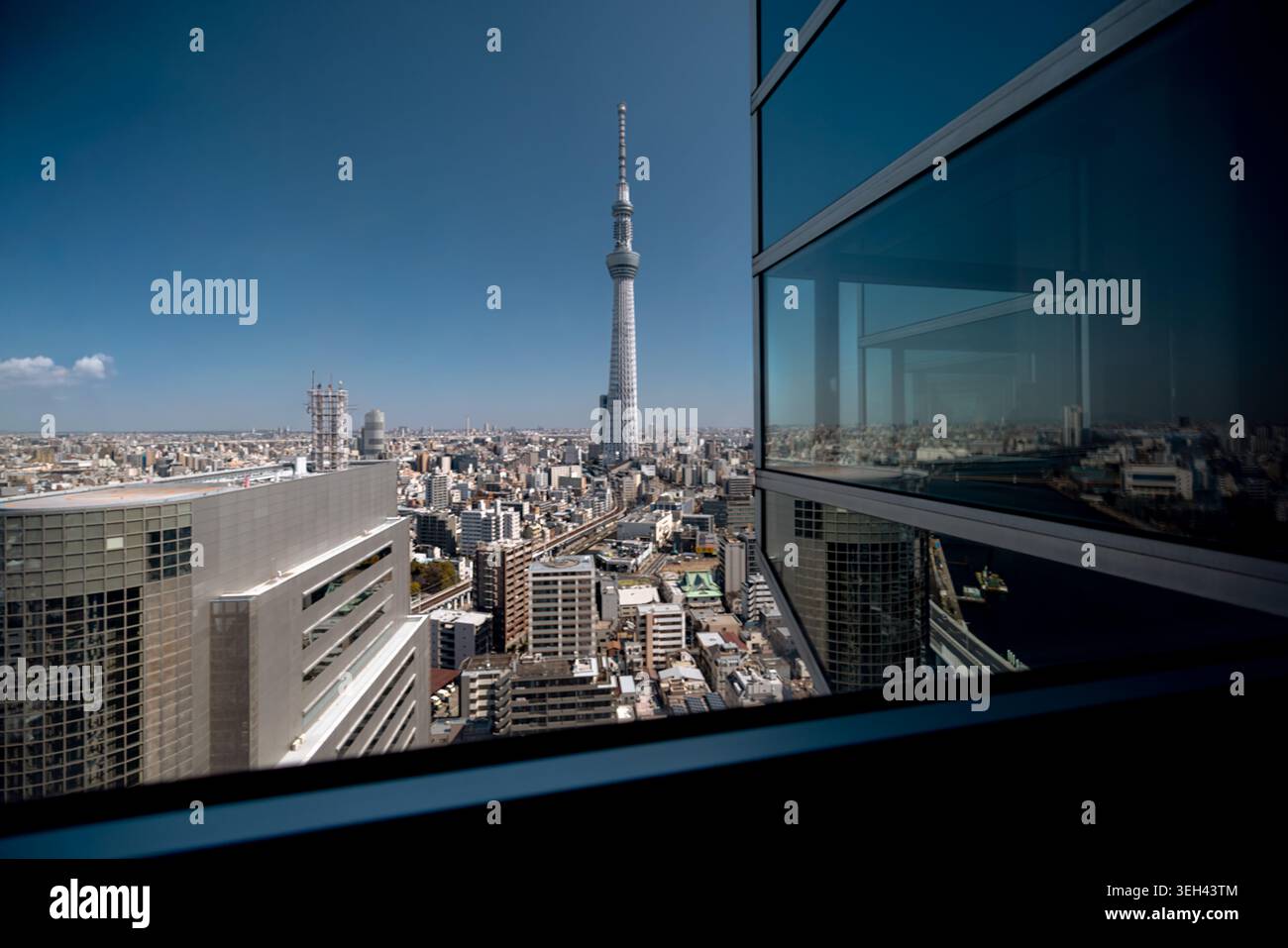 Panoramablick auf die Skyline von Tokio und den Sumida River vom Hauptsitz der Asahi Group in Tokio, Japan. Stockfoto