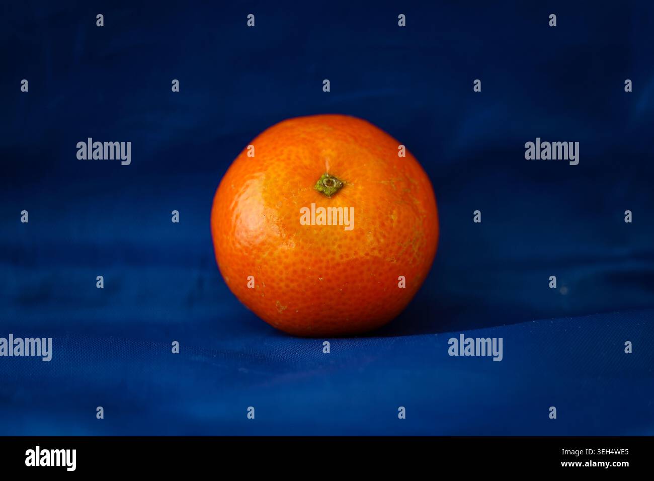Helle orange Mandarinenfrucht auf dunkelblauem Stoffhintergrund Stockfoto