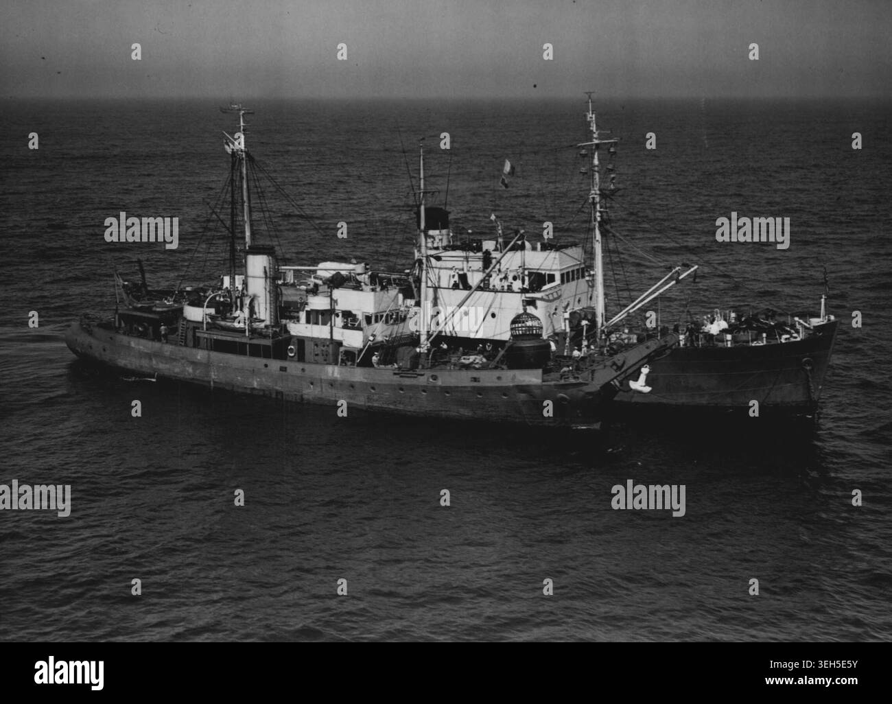 Affray hat leichte Liste -- Ein Tauchschiff und die Rückgewinnung stehen heute über der Stelle, an der Affray lag. Die Admiralität gab heute eine Erklärung über das U-Boot Affray ab, das auf dem Meeresboden 258 Fuß unter der Oberfläche nahe Hurd Deep, vor Alderney liegt. In der Erklärung heißt es: "Eine weitere Untersuchung des U-Bootes während der Nacht deutet darauf hin, dass sie mit einer leichten Liste zum Hafen liegt." Taucher standen an Bord des Bergungsschiffes Reclaim zur Verfügung, falls es möglich war, später eine Tauchkammer zu starten. In einer der Kammern wurde gestern Abend kurz nach Mitternacht ein Tauchgang gemacht. Juni 1951. Stockfoto