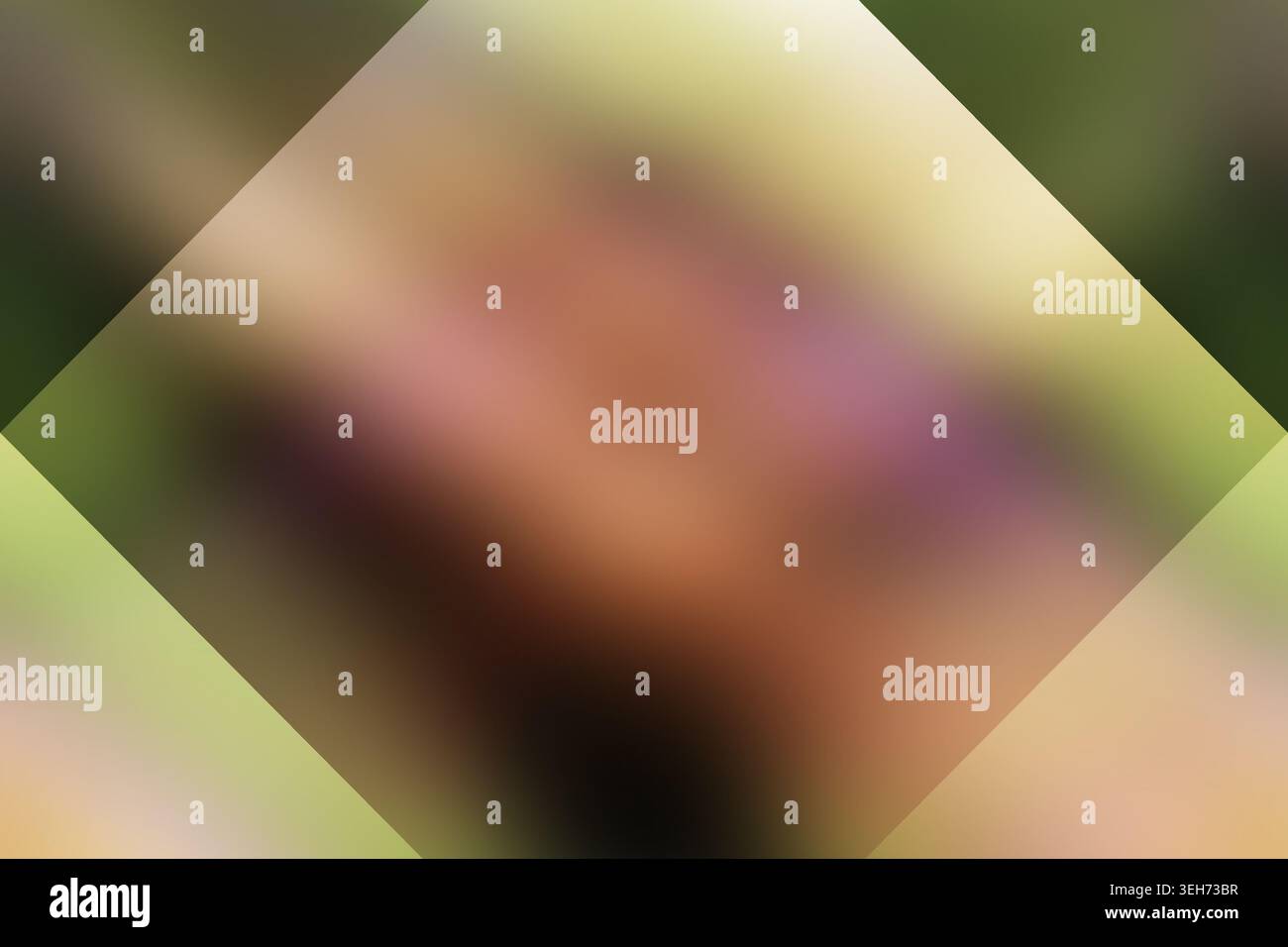 Ein glatter, abstrakter Hintergrund mit weichen, verschwommenen Verläufen in warmen und erdigen Tönen für eine sanfte und beruhigende visuelle Textur. Stockfoto