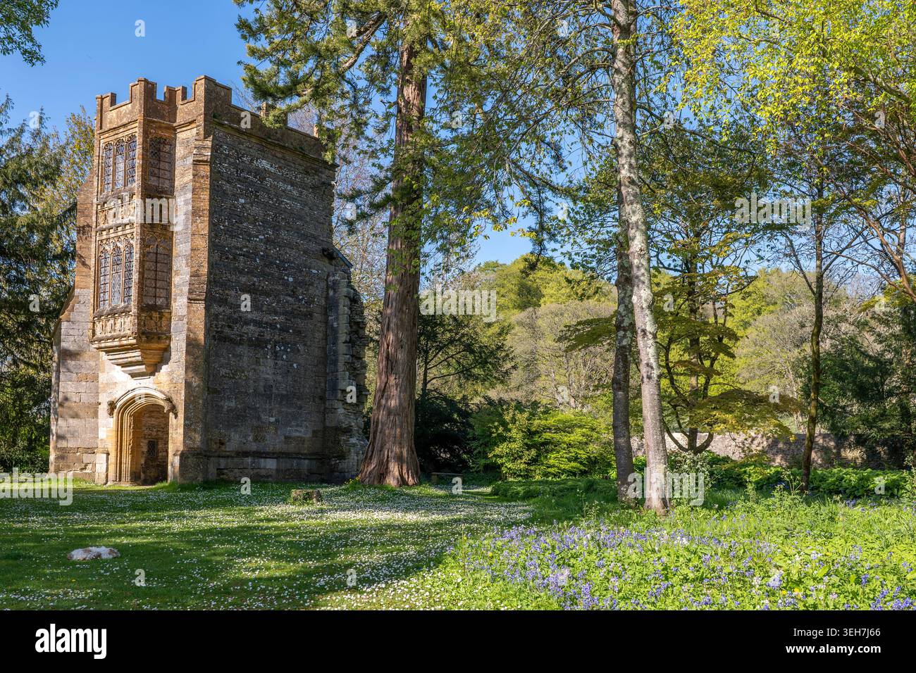 Abgelegenes Abteiturm-Tor Stockfoto