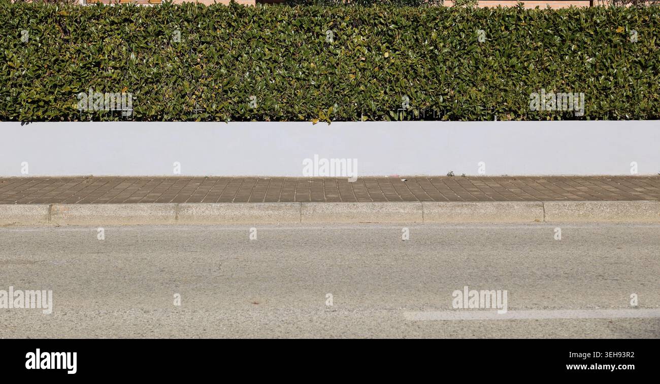 Betonzaun mit Hecke oben. Rot gekachelter Bürgersteig aus Zement und Straße vorne. Hintergrund für Kopierraum. Stockfoto