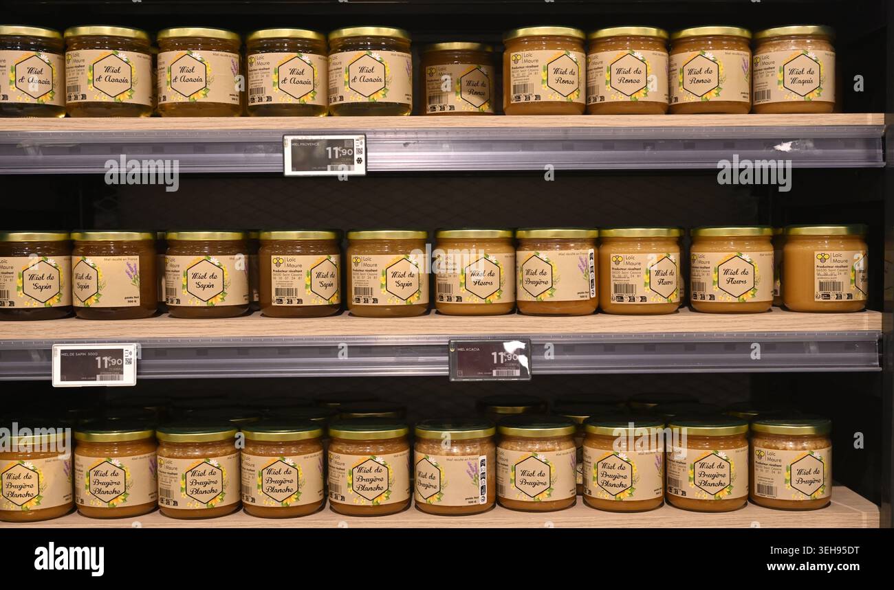 Reihen von Glasgläsern mit Honig aus verschiedenen spezifischen Blumen mit der vorgeschriebenen EU-spezifischen Kennzeichnung in Supermarktregalen Stockfoto