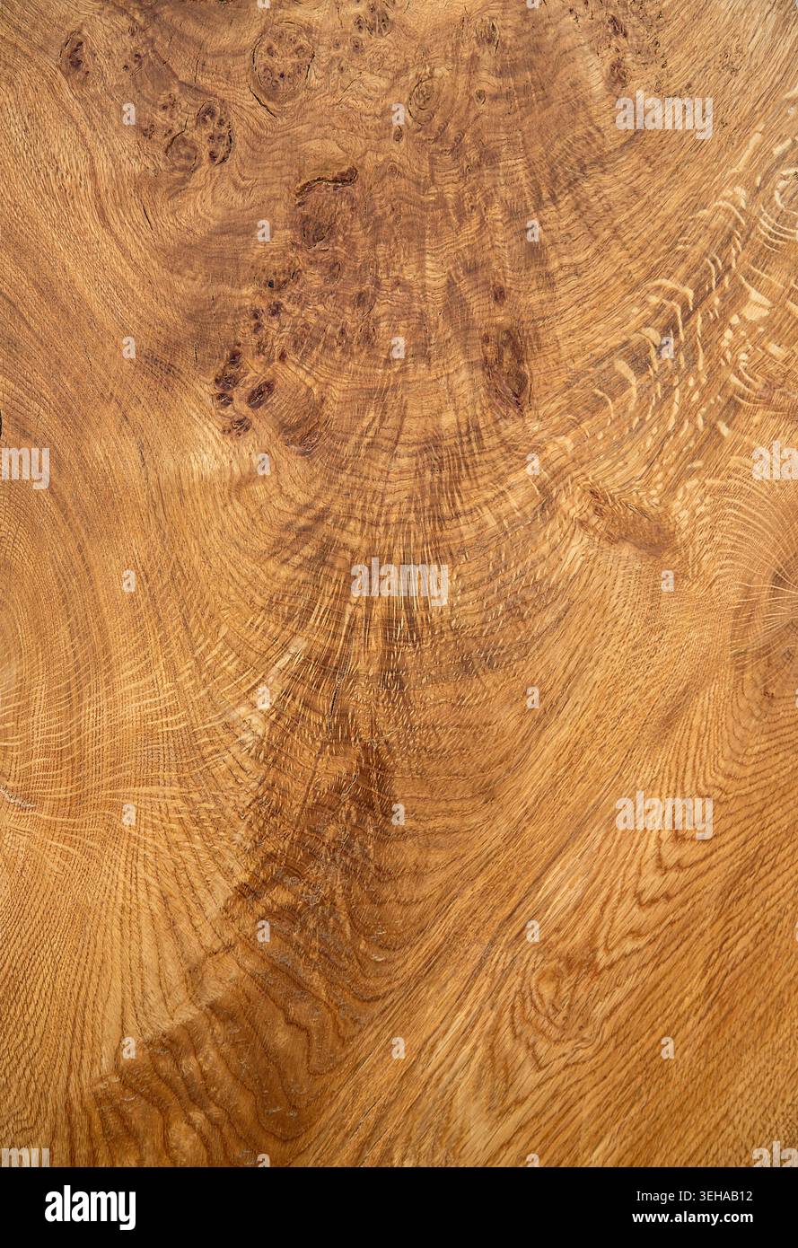 Goldene Eichenkörner mit wirbelnden Masern und warmen Naturtönen, die die komplizierte Schönheit von altem Holz offenbaren. Stockfoto