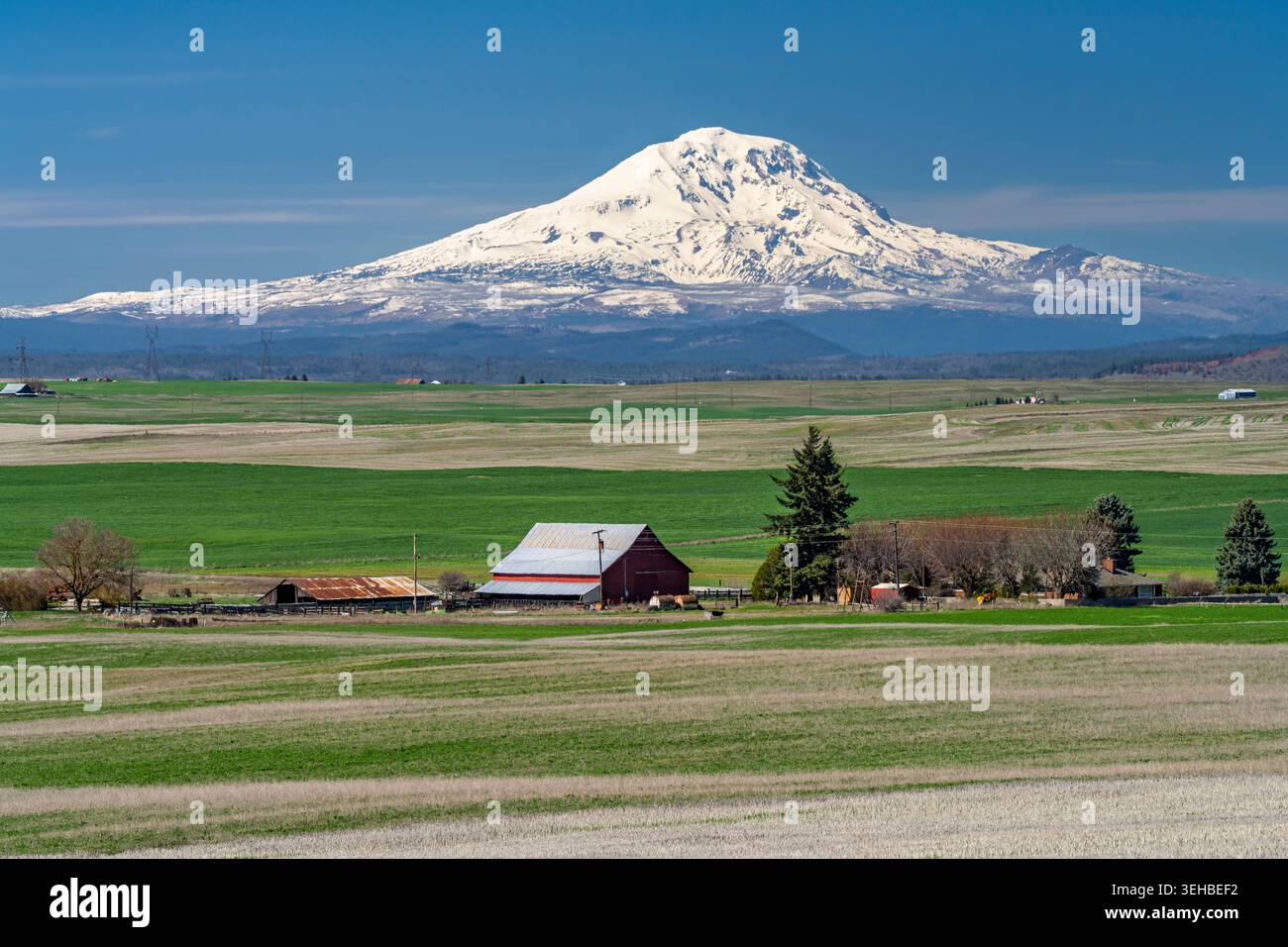 Blick auf Mount Adams mit Bauernhäusern im ländlichen Washington, USA. Stockfoto