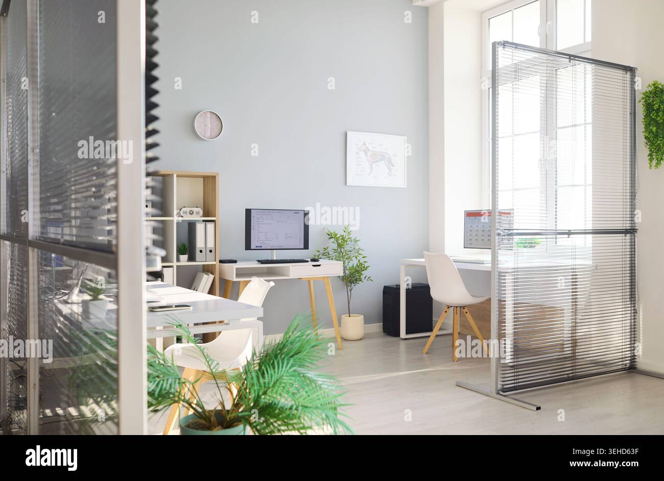 Sonnige Tierklinik Büroeinrichtung mit Computertisch, Pflanzen und Jalousien Stockfoto