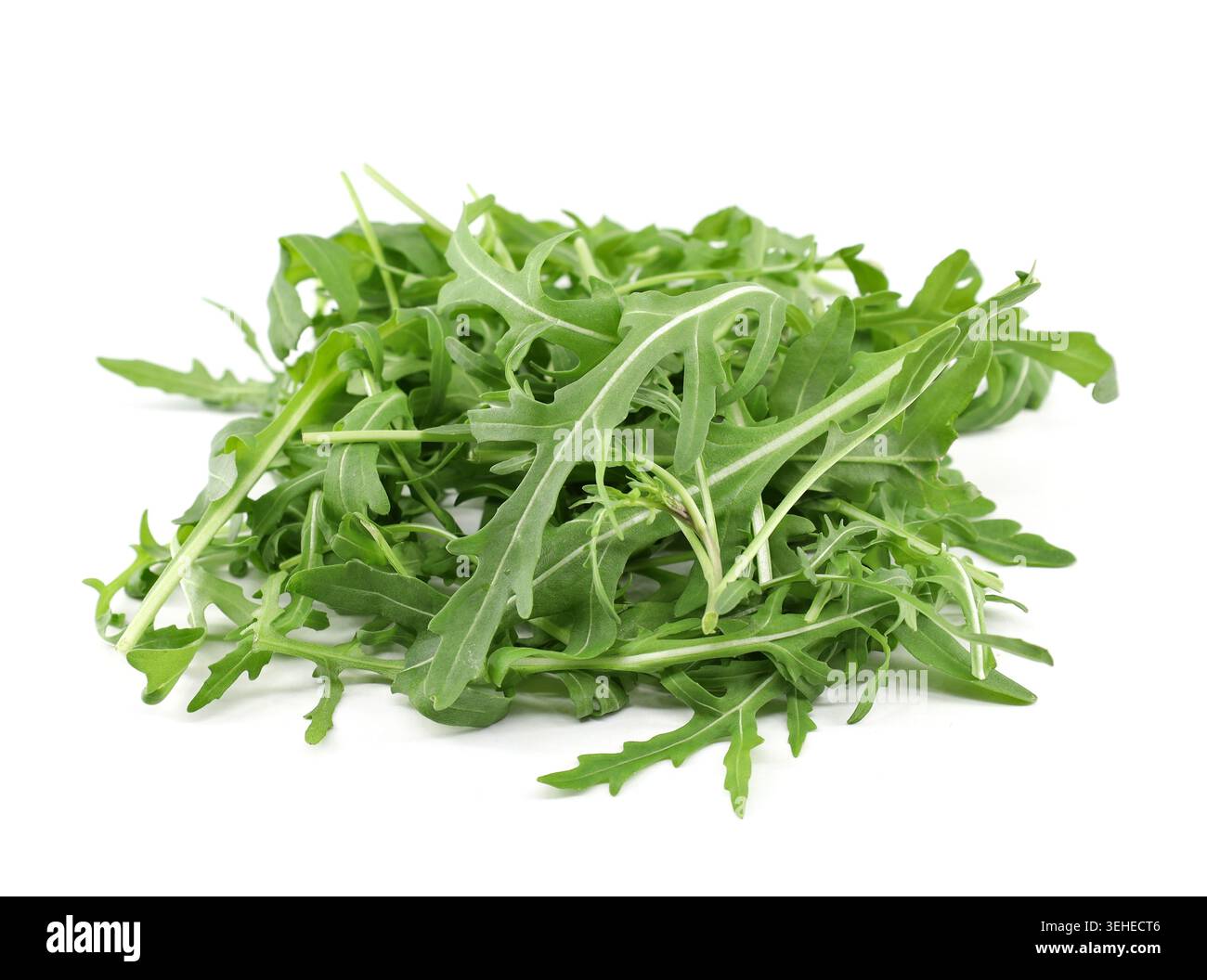 Haufen von Raketensalatblättern isoliert auf weißem Hintergrund. Stockfoto