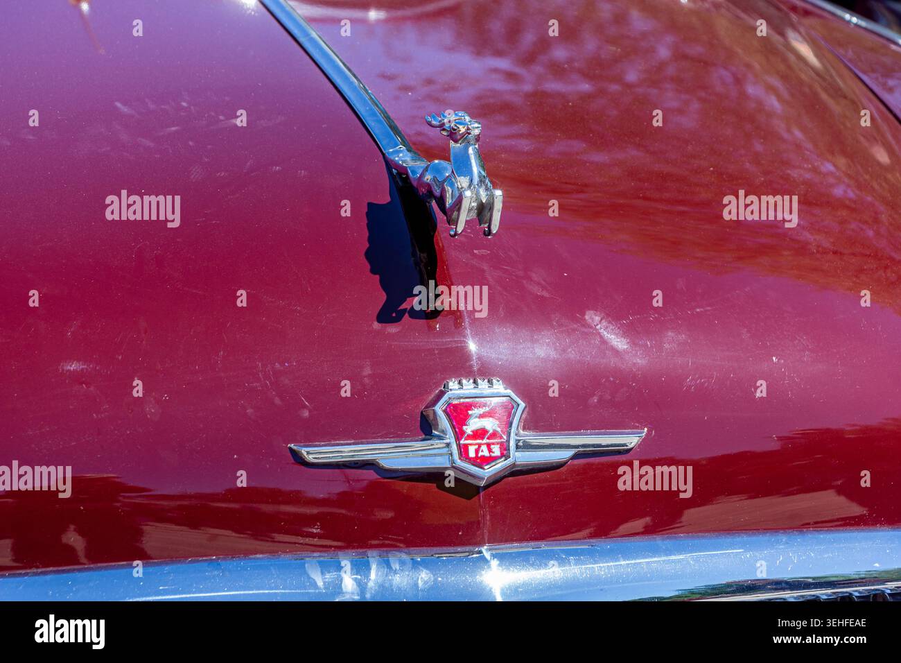 Samara, Russland - 27. Mai 2018: Die Figur eines Rangierhirsches ist das Maskottchen und das Logo des Oldtimer Volga GAZ-21 auf der Motorhaube Stockfoto