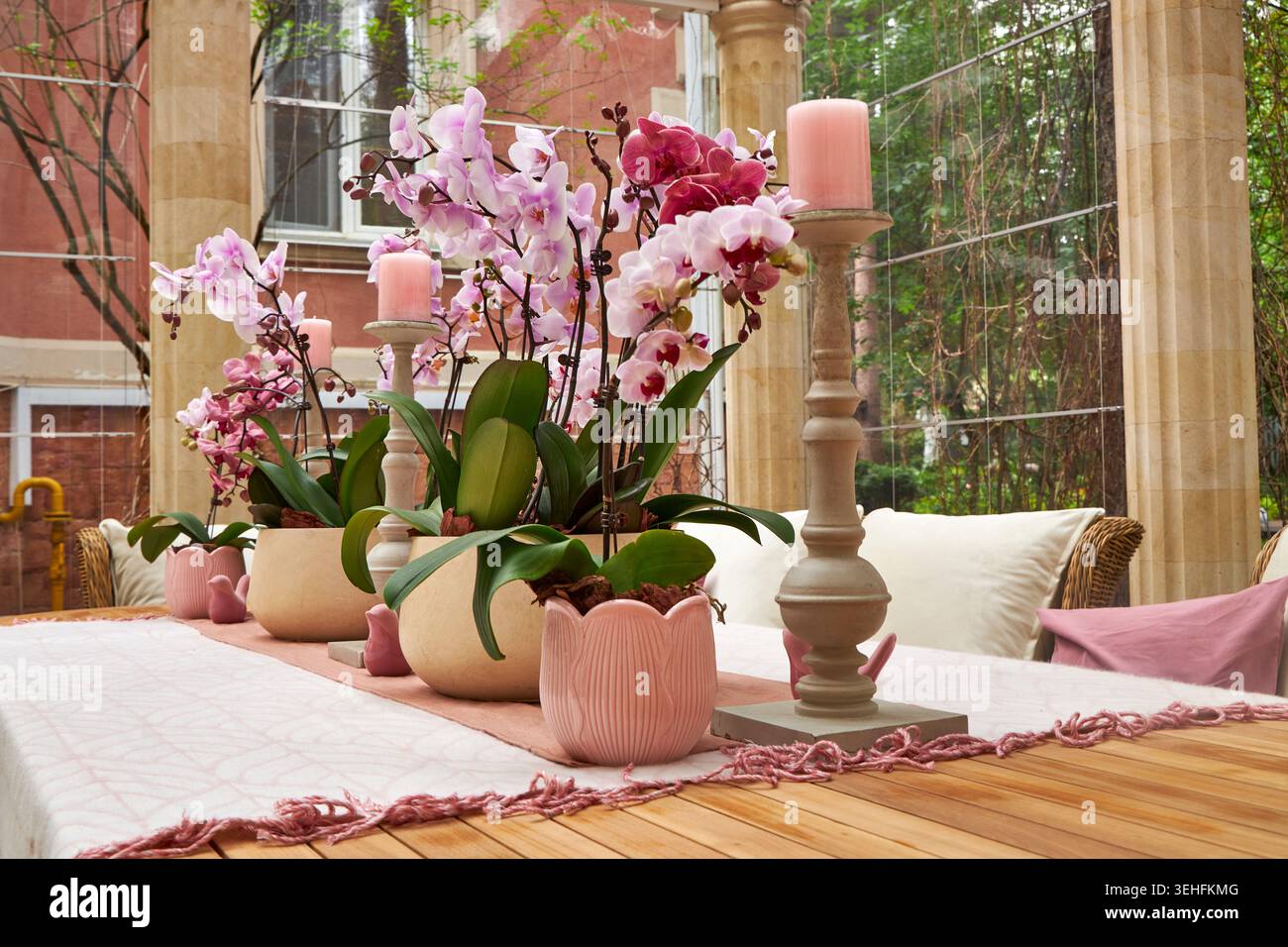 Eleganter Orchideentisch im luxuriösen Glaskonservatorium Stockfoto
