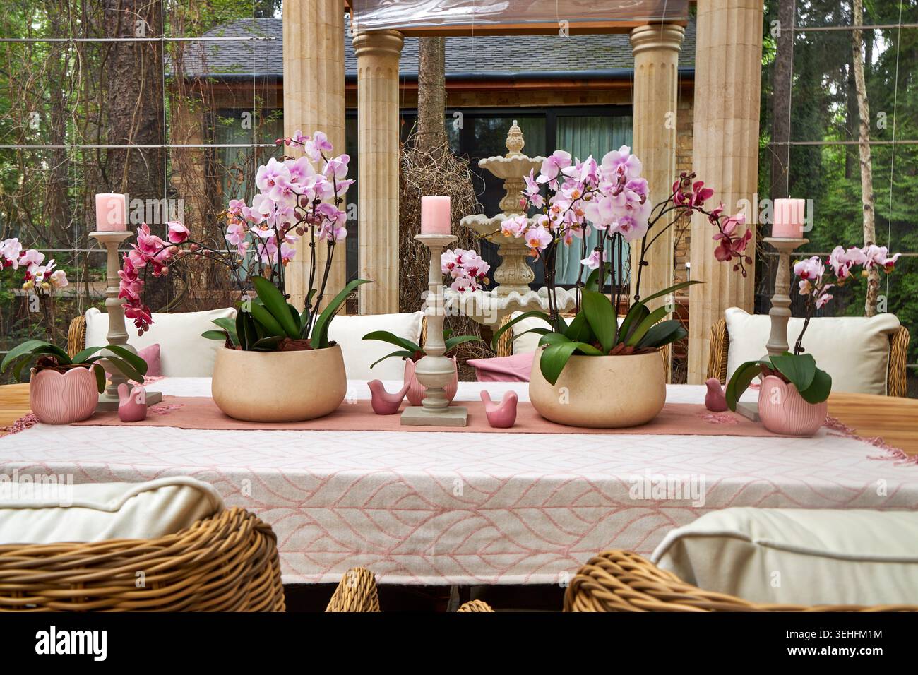 Eleganter Orchideentisch im luxuriösen Glaskonservatorium Stockfoto