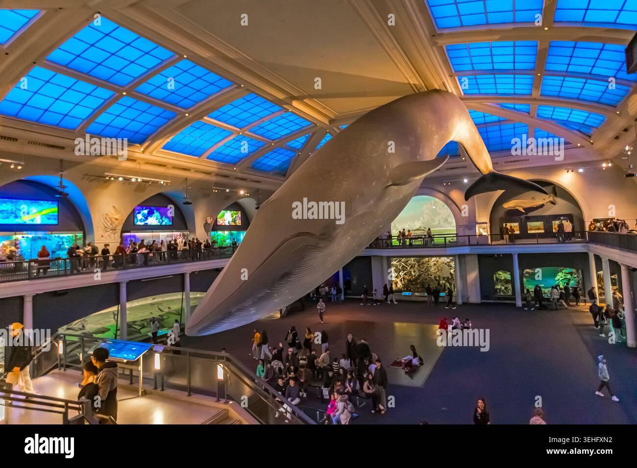 New York City, USA - 8. April 2026: Besucher bewundern das berühmte 94 Meter lange Blauwal-Modell, das an der Decke der Milstein Hall hängt Stockfoto