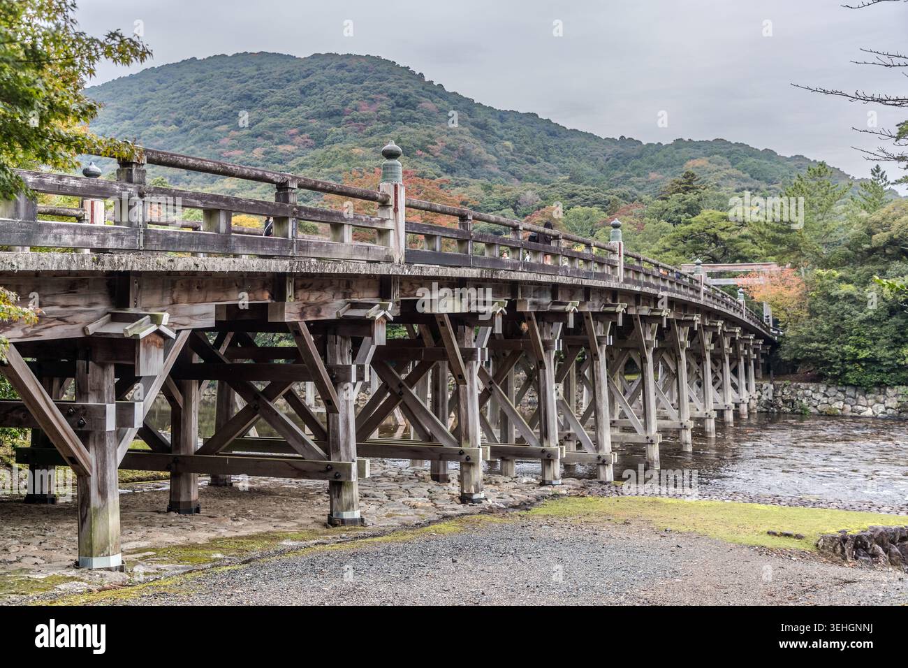 Die Ujibashi-Brücke überspannt den Isuzu-Fluss über eine Länge von 100 Metern am Eingang zum Naikū von Ise-jingū, Ise, Präfektur Mie, Japan. Wie der Rest des Schreins wird sie alle 20 Jahre im traditionellen japanischen Stil als Teil der Shikinen-Sengu-Zeremonie neu gebaut. Stockfoto