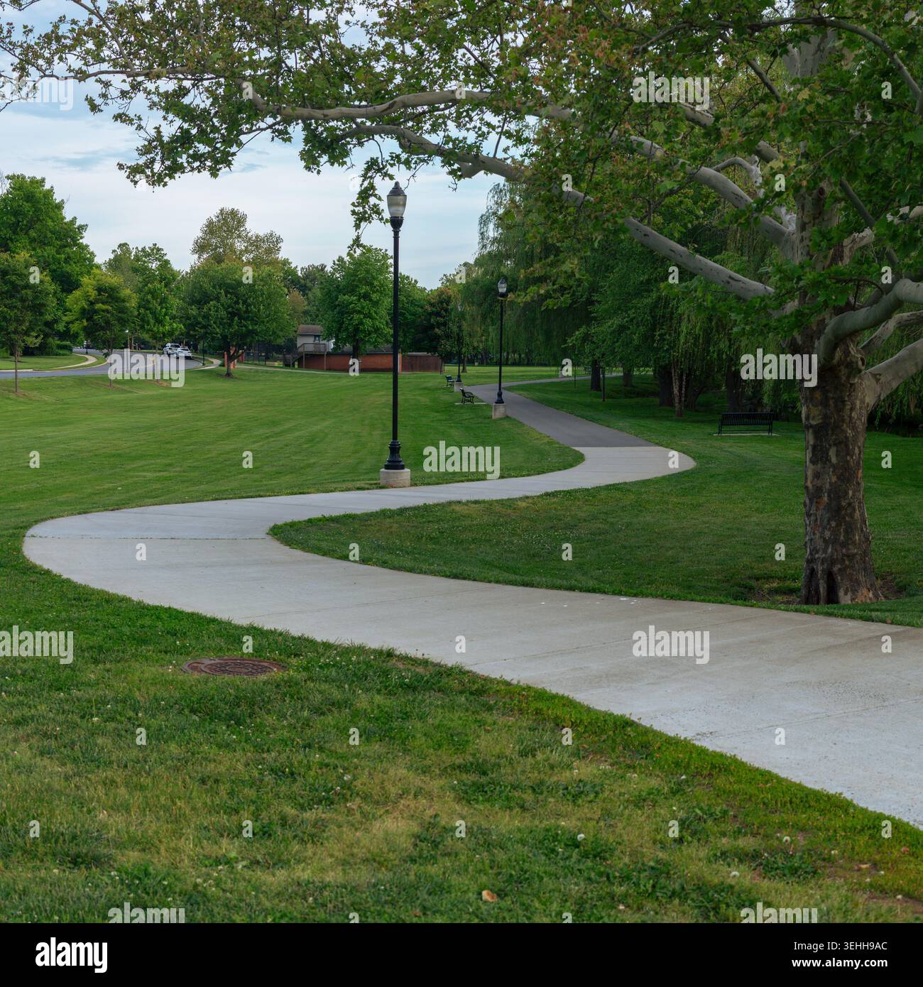 Ein gewundener Betonwanderweg führt durch den grünen Rasen des Baker Park in Frederick, Maryland. Eine hohe Straßenlaterne und ein großer Platanen-Baum Stockfoto