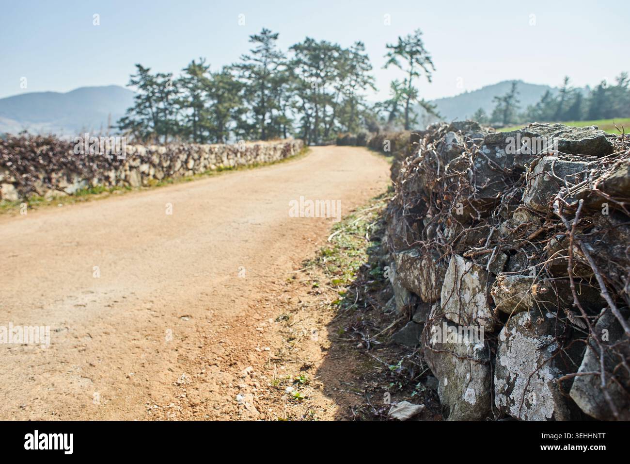 Bilder erfassen einen rustikalen Feldweg und traditionelle Steinmauern auf Cheongsando Island, die ländliche Ruhe und die langsam lebende Philosophie veranschaulichen. Stockfoto
