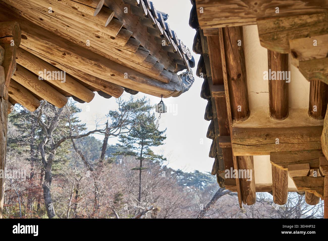 Entdecken Sie den Haeinsa Tempel in Hapcheon. Die Bilder zeigen das lebhafte Dancheong, goldene Buddhas und das historische Janggyeong Panjeon unter einem klaren blauen Himmel. Stockfoto