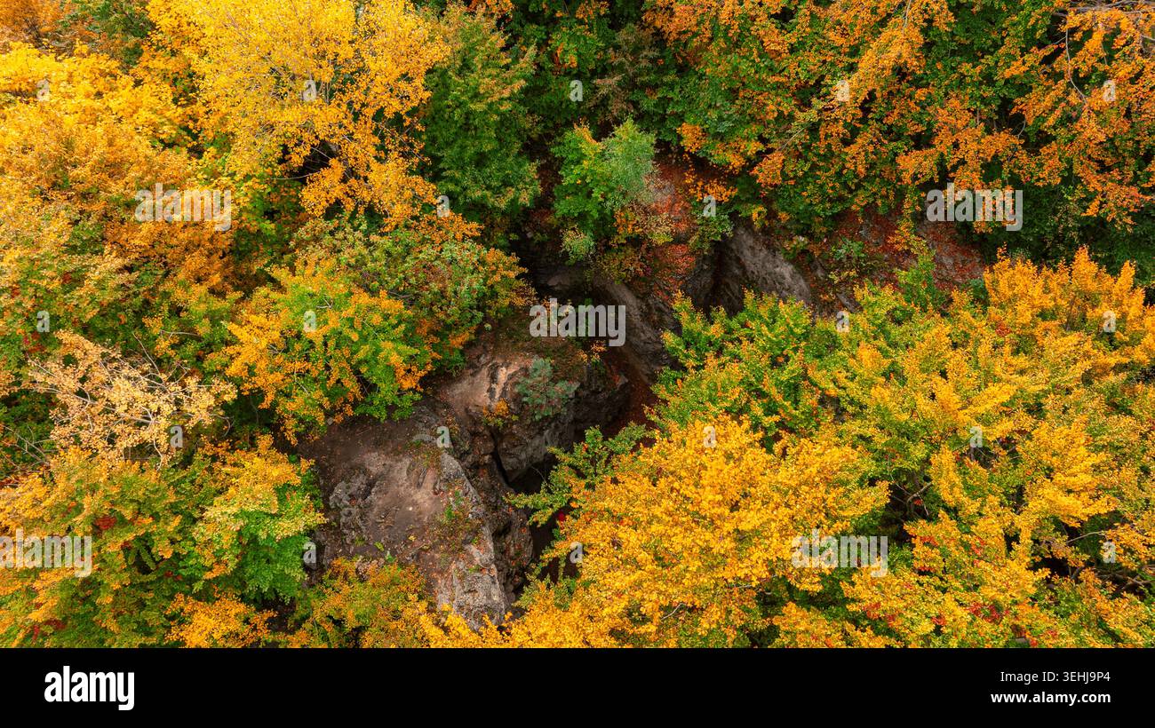 Die Drohnenperspektive fängt den atemberaubenden Gobelin der Herbstblätter in leuchtenden Gelb- und Orangetönen ein, durchsetzt mit Grün, das felsige Terra hervorhebt Stockfoto