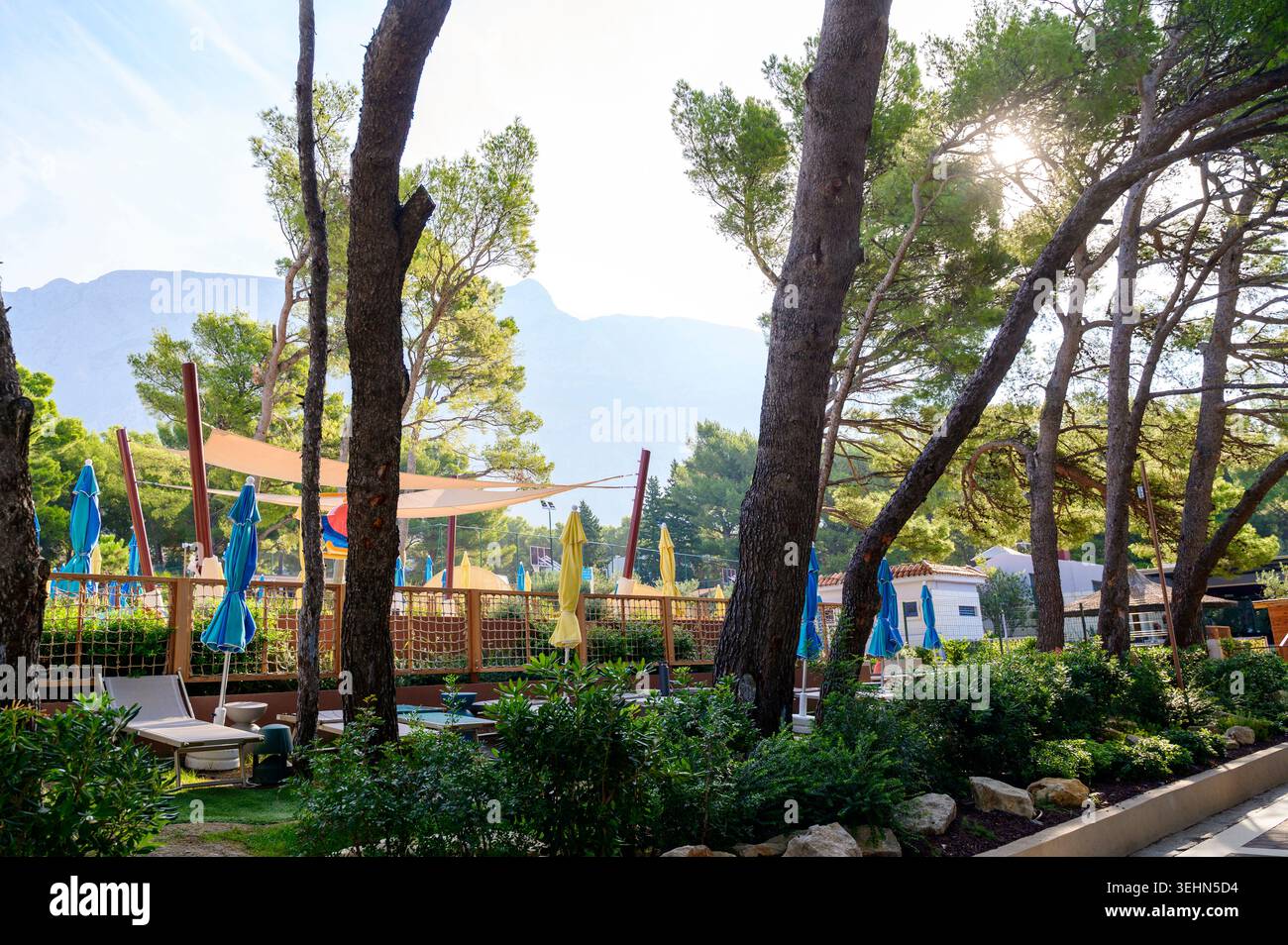 Kiefern, Wanderweg und eine moderne Entspannungszone in einem Sommerresort. Stockfoto