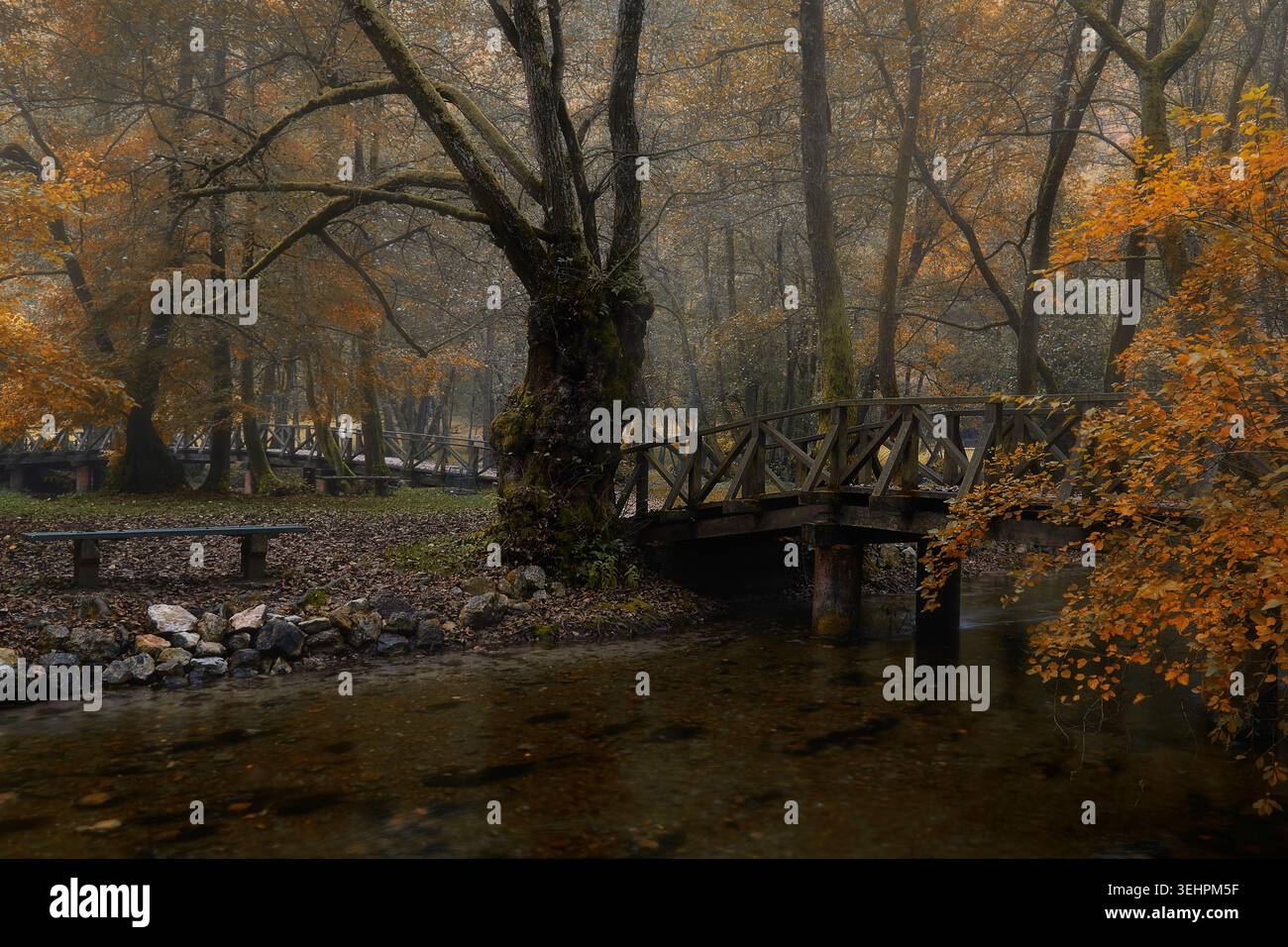 Friedliche Herbstszene mit Holzbrücke am Vrelo Bosne in der Nähe von Sarajevo Stockfoto