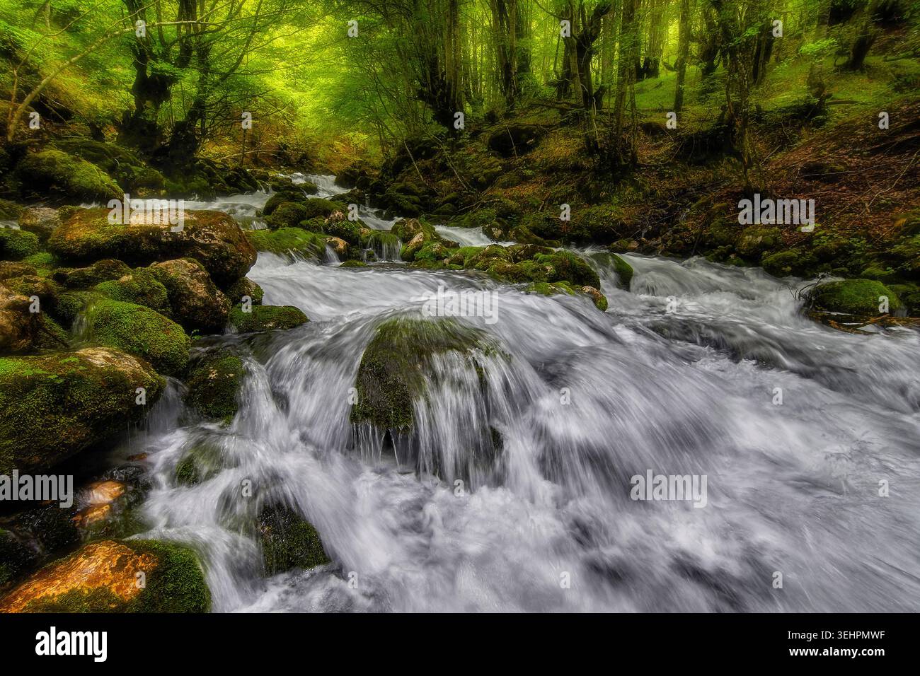 Kristallklarer Fluss in der Nähe der Quelle des Željeznica in Bosnien und Herzegowina Stockfoto