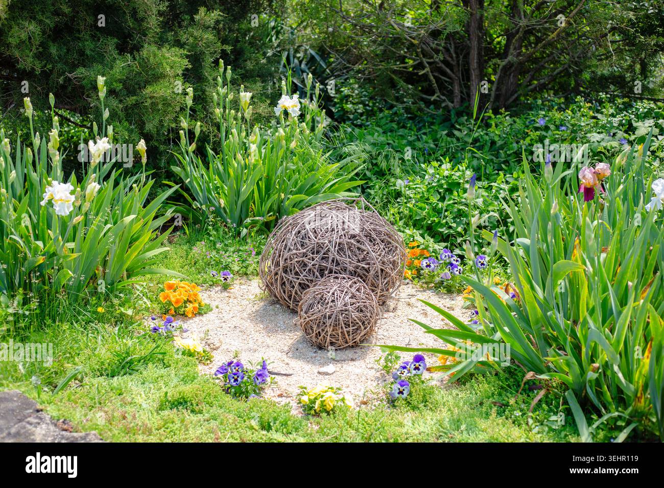 Eine dekorative Garteninstallation mit gewebten Zweigkugeln, umgeben von blühenden Iris. Gartengestaltung im Hinterhof, kreatives Gartendesign, Außeneinrichtung. Stockfoto