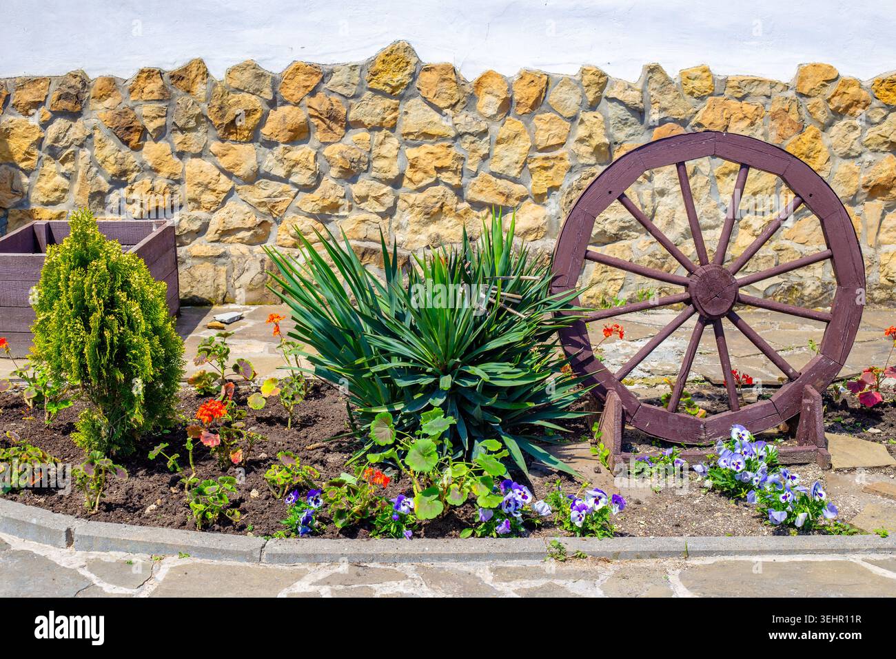 Eine rustikale Gartenanlage mit einem hölzernen Wagenrad und immergrünen Pflanzen an einer Steinmauer. Gartenanlage im Hinterhof, Gartendekoration, Landhausstil. Stockfoto