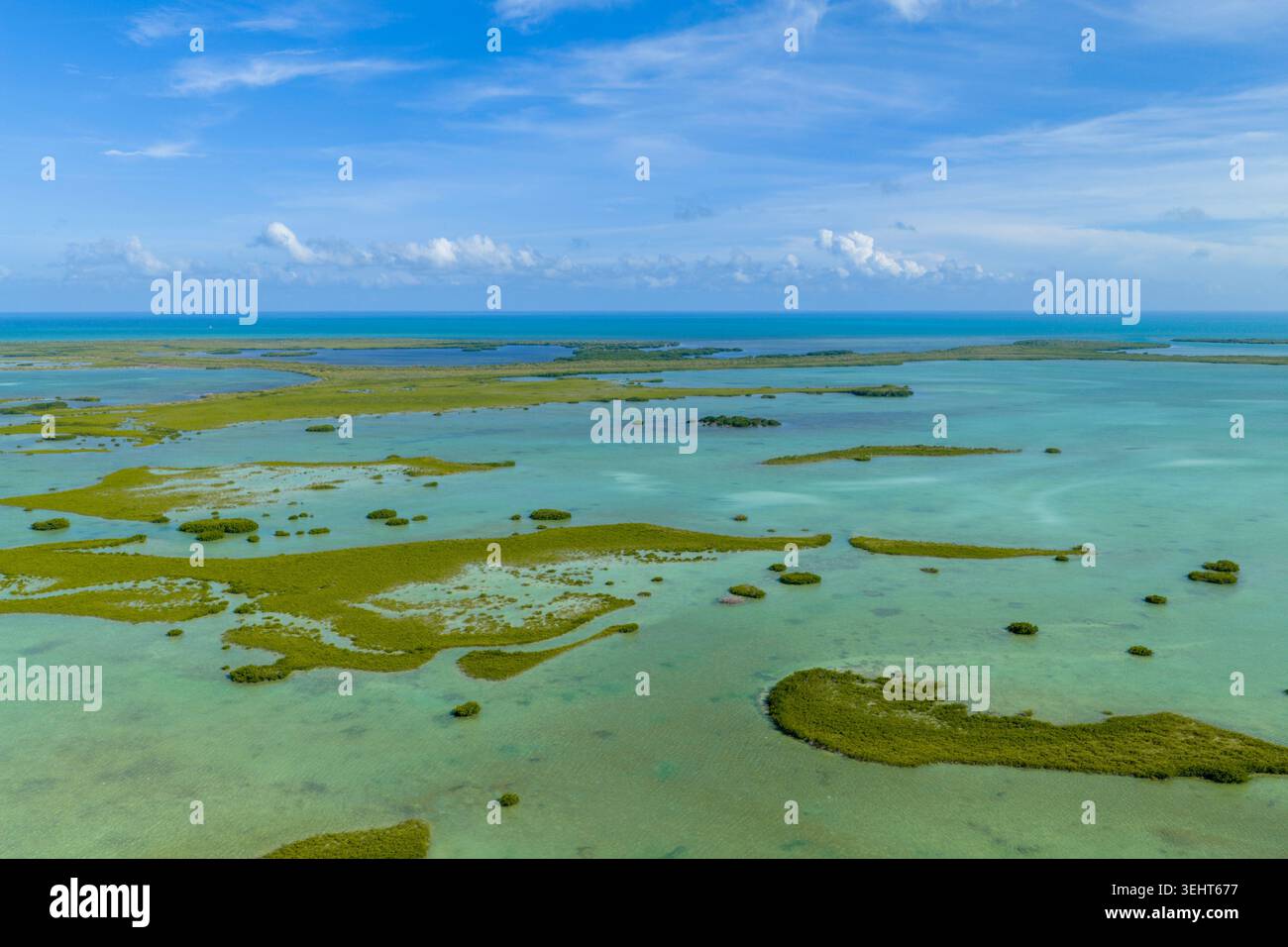 Wunderschöne Natur in Key West Florida Stockfoto