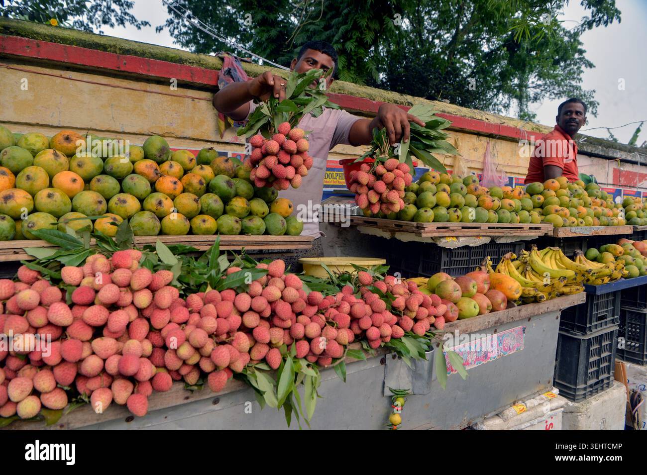 Siliguri, Indien. Mai 2026. Ein Obstverkäufer arrangiert am 24. Mai 2026 Mangos und Litschis an einem Straßenstand in Siliguri, Indien. (Foto: Diptendu Dutta/Middle East Images/StringersHub/SIPA USA) Credit: SIPA USA/Alamy Live News Stockfoto