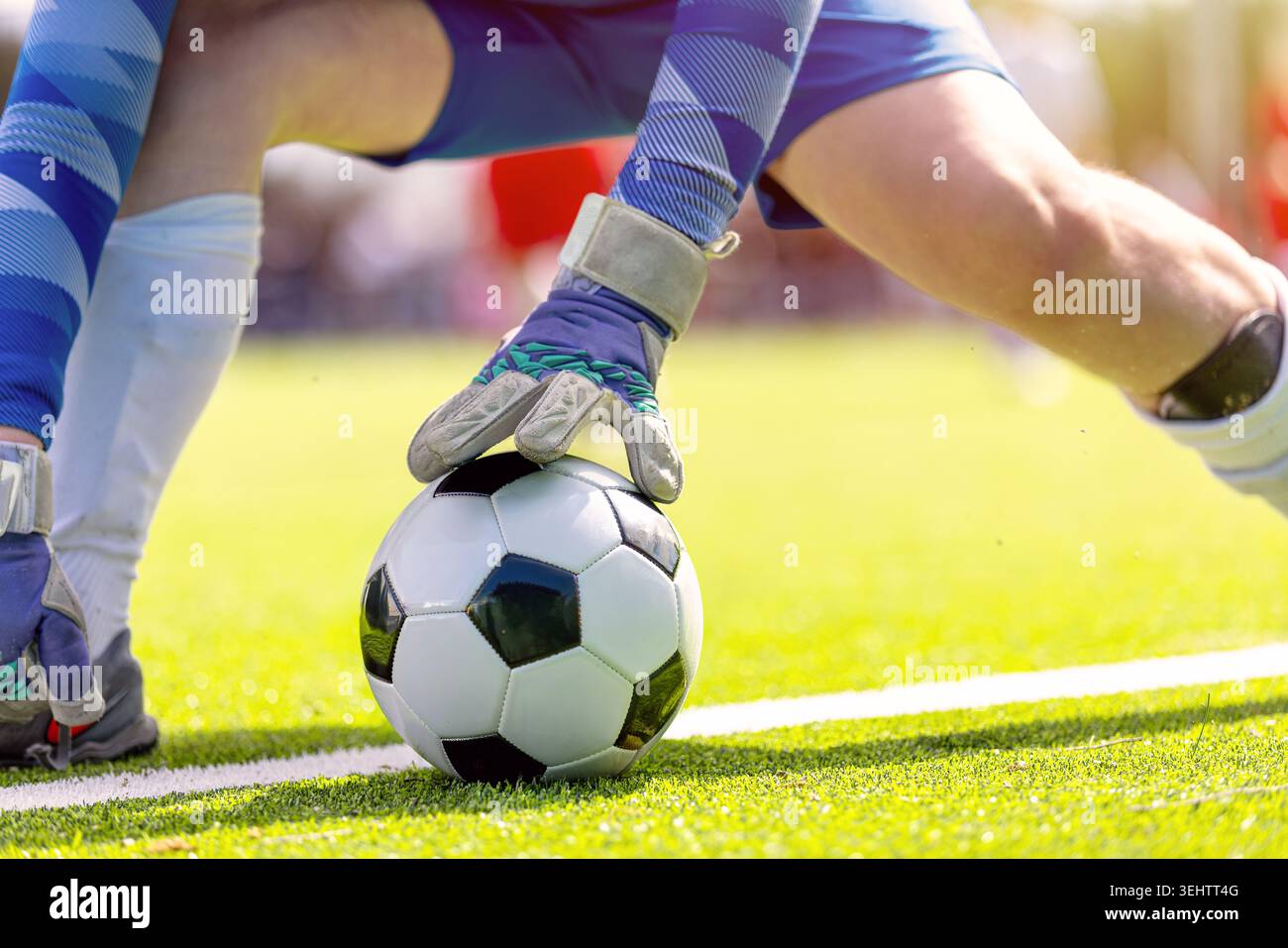Fußball-Torwarthandschuh sichert den Ball auf der Pitch White Line Nahaufnahme Stockfoto