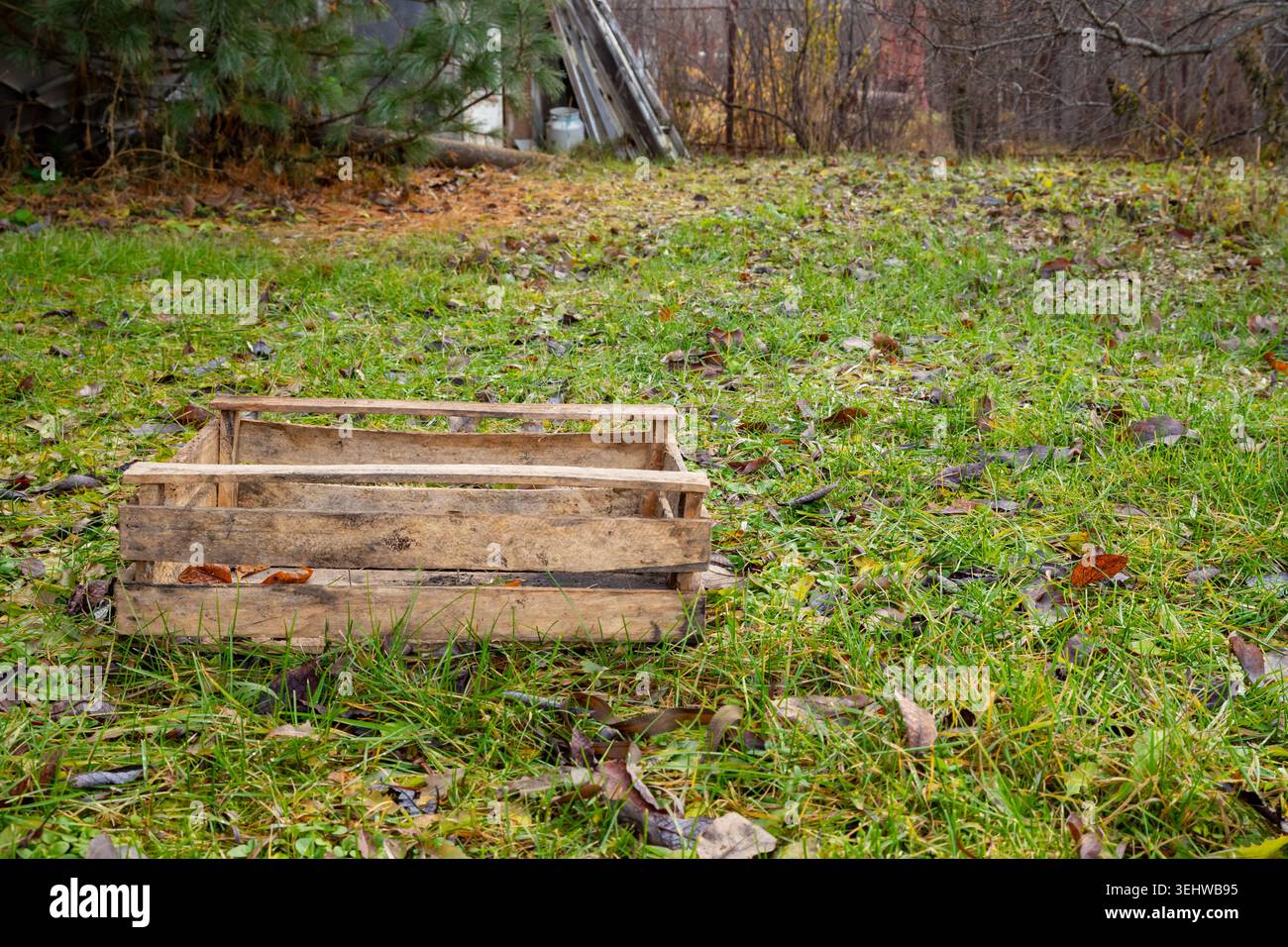 Leere rustikale Holzkiste auf grünem Gras im Garten. Einfache Box zum Sammeln der Ernte oder als Dekoelement im Außenbereich. Stockfoto