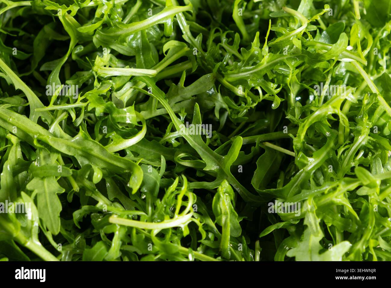 Frische Rucola Textur für gesundes Kochen. Stockfoto