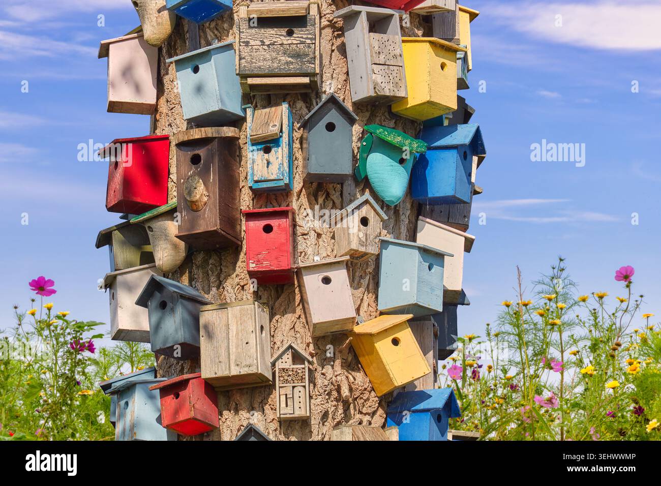 Baum mit farbenfrohen Vogelhäusern vor blühenden wilden Blumen und blauem Himmel Stockfoto