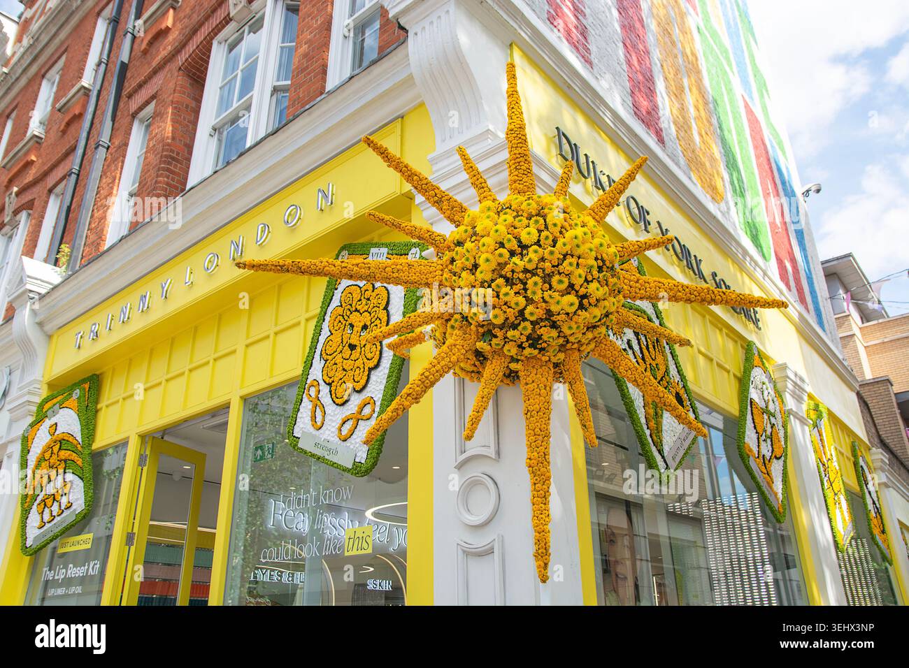 Chelsea in Bloom 2026, Blumenfest, Blumenausstellung, Blumenveranstaltung, London, UK. Stockfoto