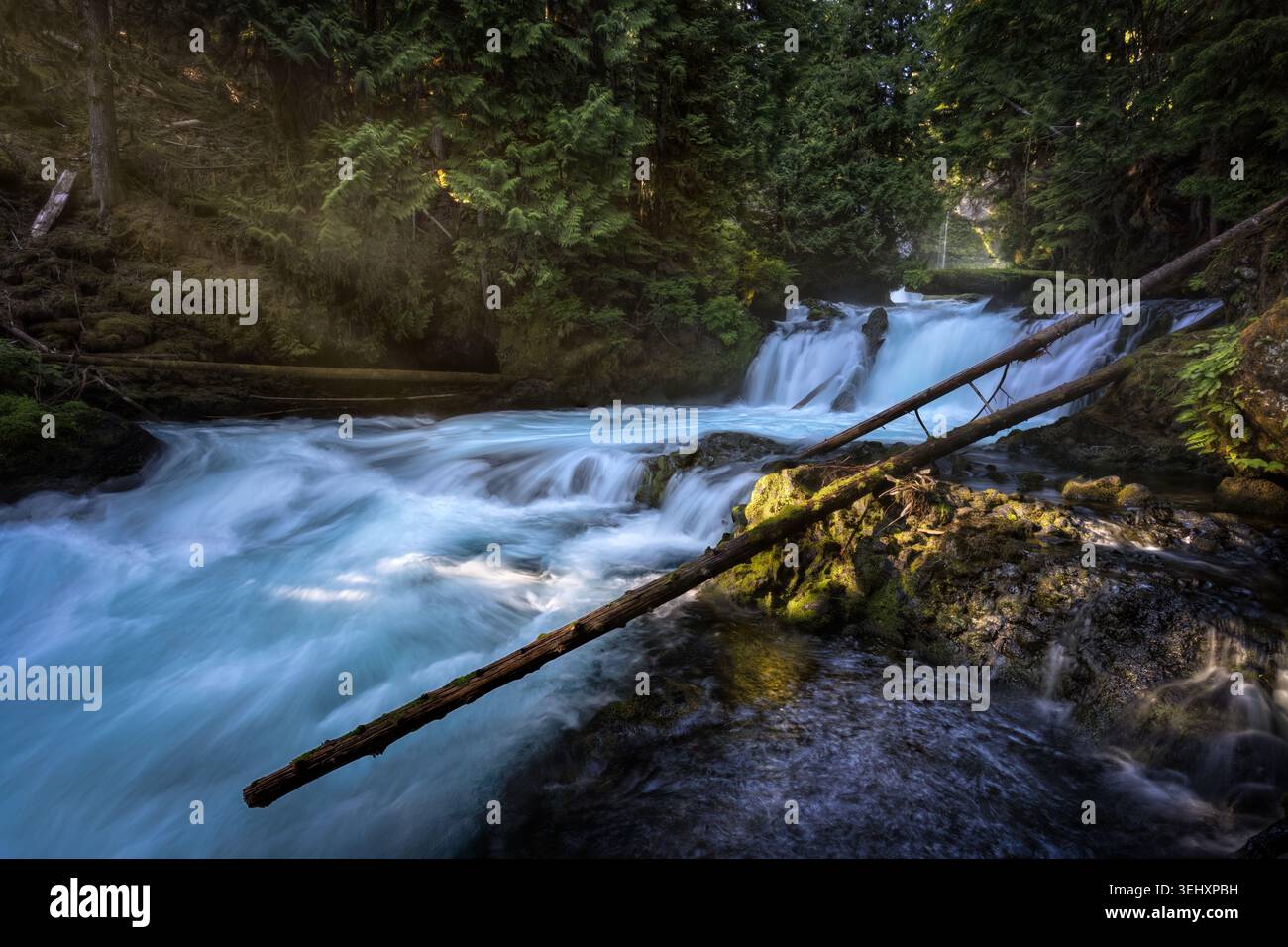 Eine dynamische Landschaft, die einen gefallenen Baumstamm zeigt, der über einen mächtigen rauschenden Bergfluss, umgeben von üppigen Wäldern, überquert Stockfoto