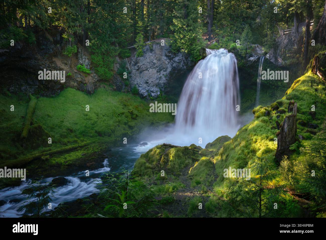 Eine leistungsstarke Langzeitstudie, die den rauschenden Wildwassereinbruch der Sahalie Falls am McKenzie River erfasst, umgeben von üppigem, moosbedeckten Basaltlav Stockfoto