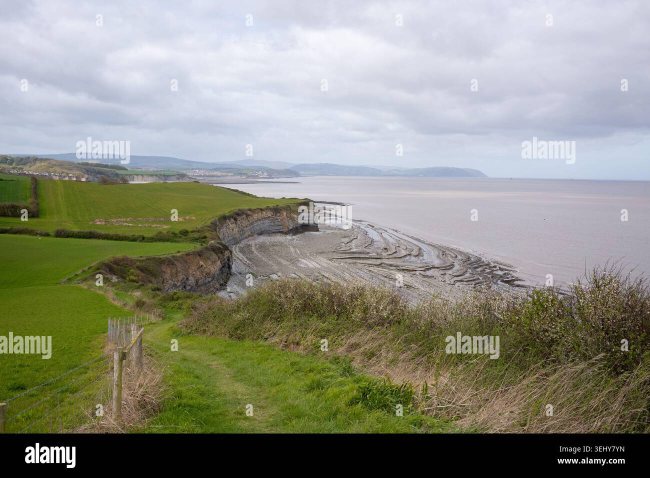 South West Coast Path, Kilve nahe East Quantoxhead Exmoor National Park England. Mai Stockfoto