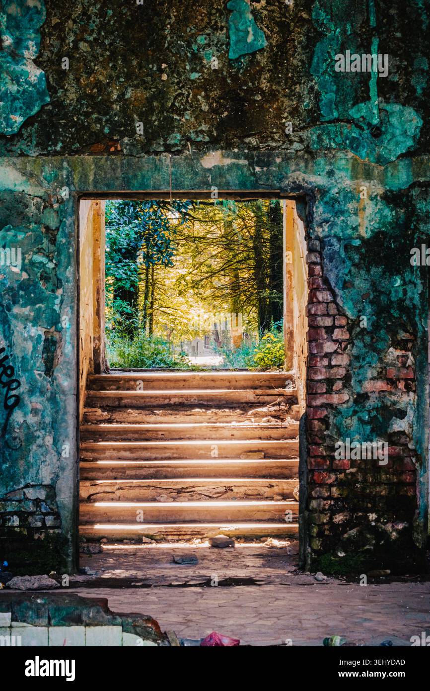 Sonnendurchflutete Treppe führt in den Wald vom verlassenen Bathhouse #8 in Tskaltubo, Georgia, wo die Natur sowjetische Ruinen zurückerobert. Stockfoto