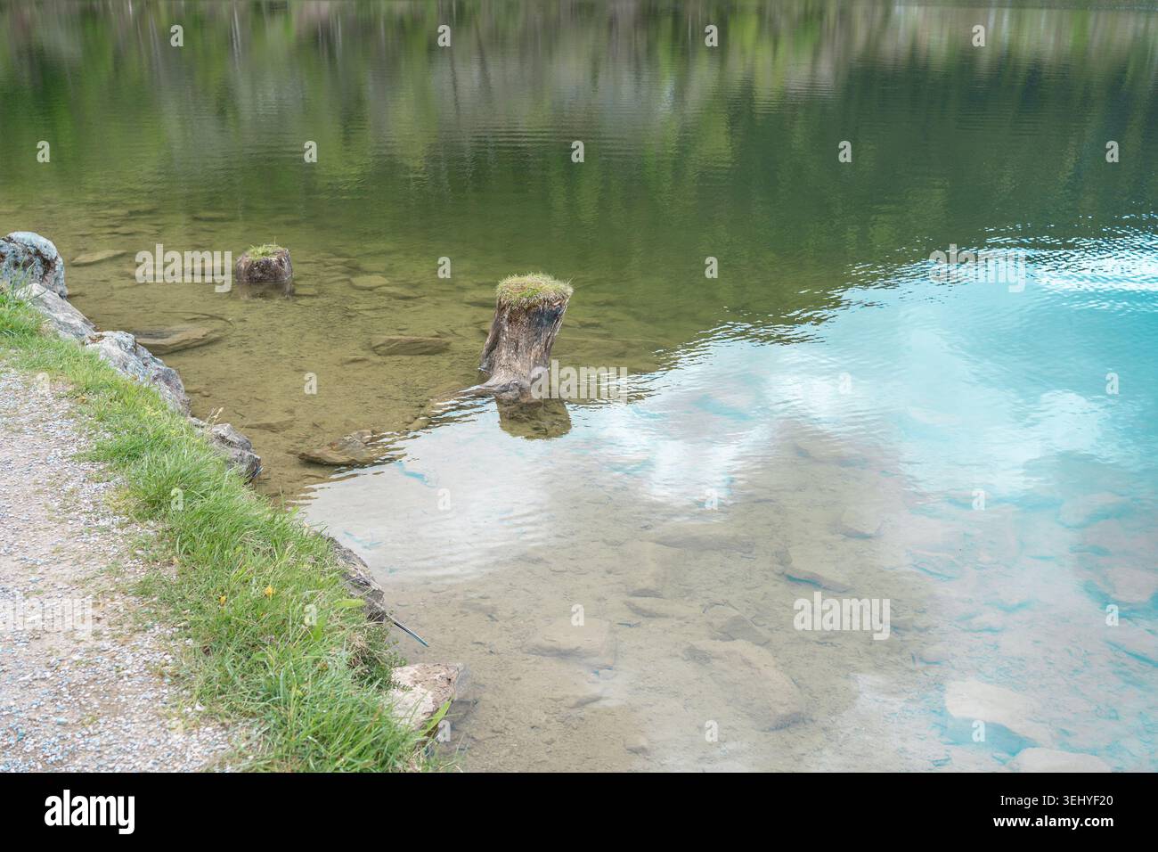 Nahaufnahme von kristallklarem, transparentem Wasser an einem felsigen Bergseeufer. Versunkene Steine, Baumstümpfe und sanfte grüne Reflexe auf der welligen Oberfläche Stockfoto