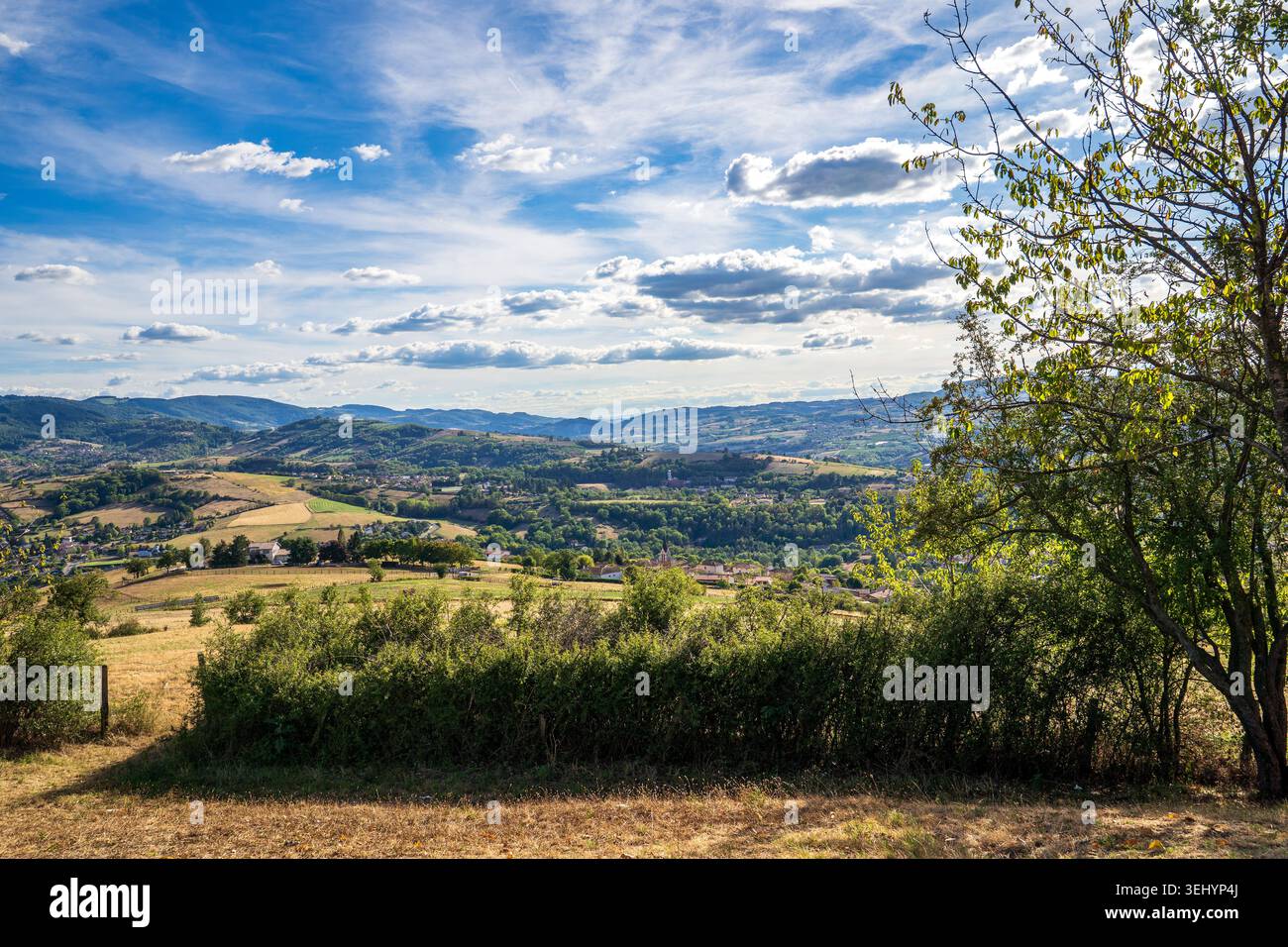 Ein riesiger Panoramablick zeigt die Landschaft von Beaujolais mit ihren sanften Hügeln, goldenen Feldern und kleinen Dörfern im Grünen. Ein Baum auf dem Th Stockfoto