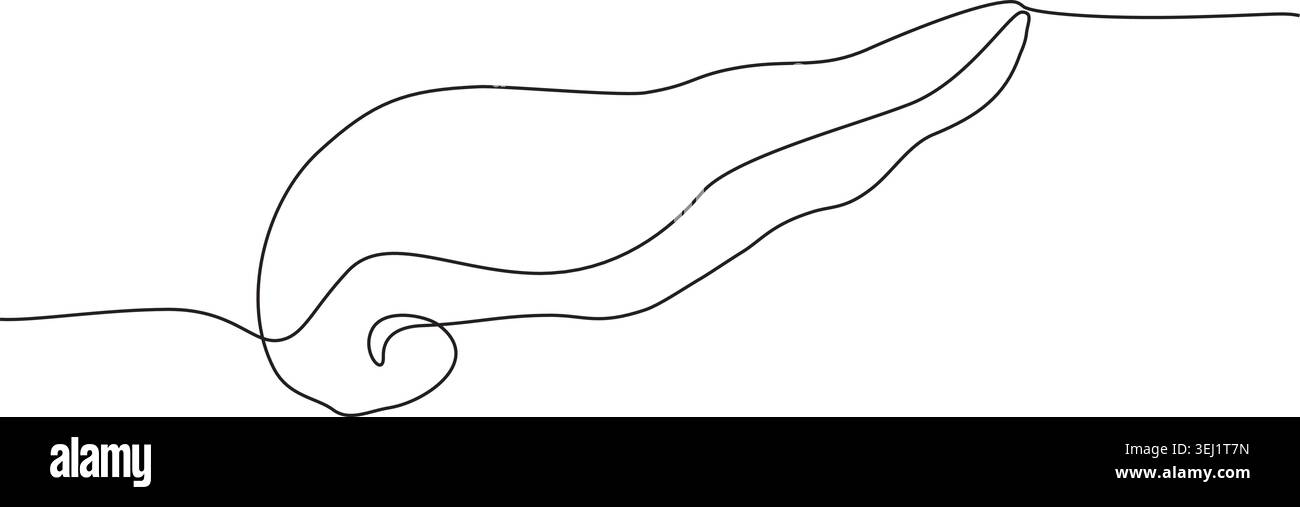 Eine einfache Linienzeichnung, die eine menschliche Bauchspeicheldrüse darstellt und minimalistischen Kunststil auf einem schlichten weißen Hintergrund zeigt. Stock Vektor